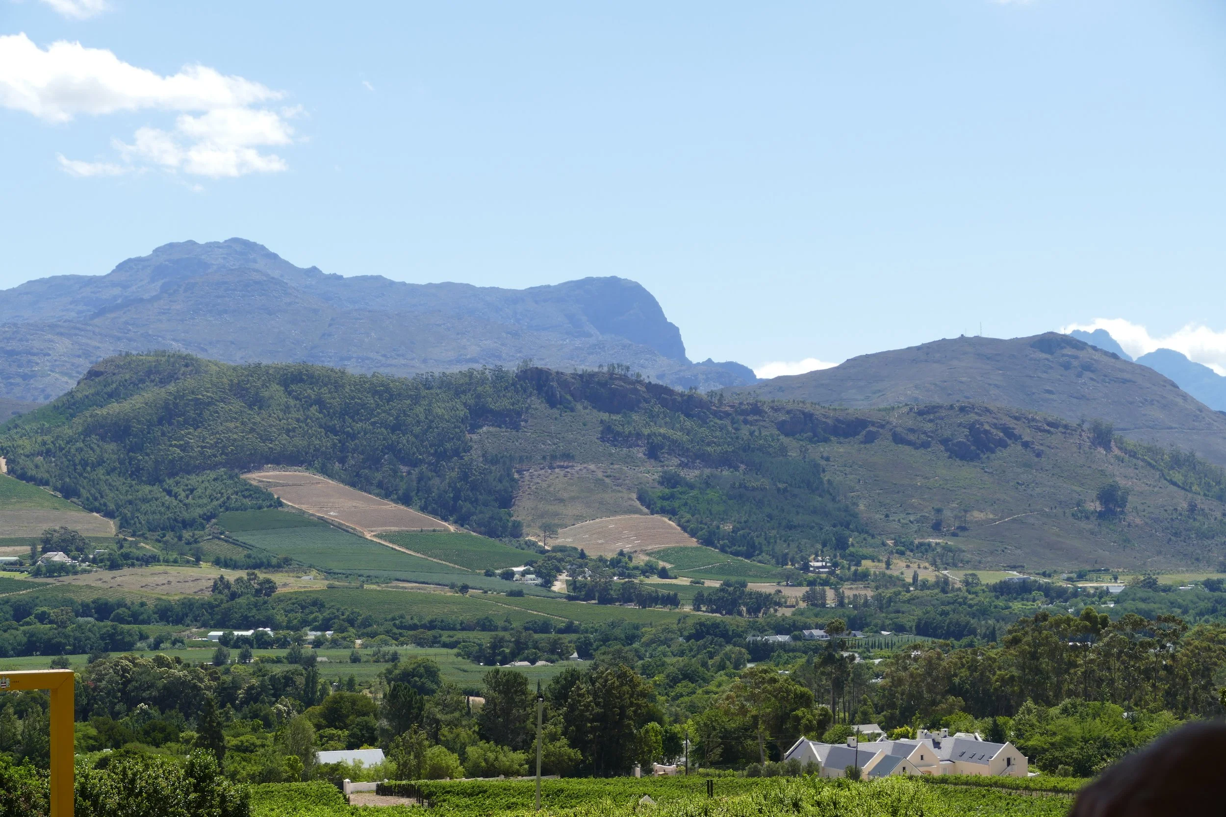   Vineyard and mountain views  