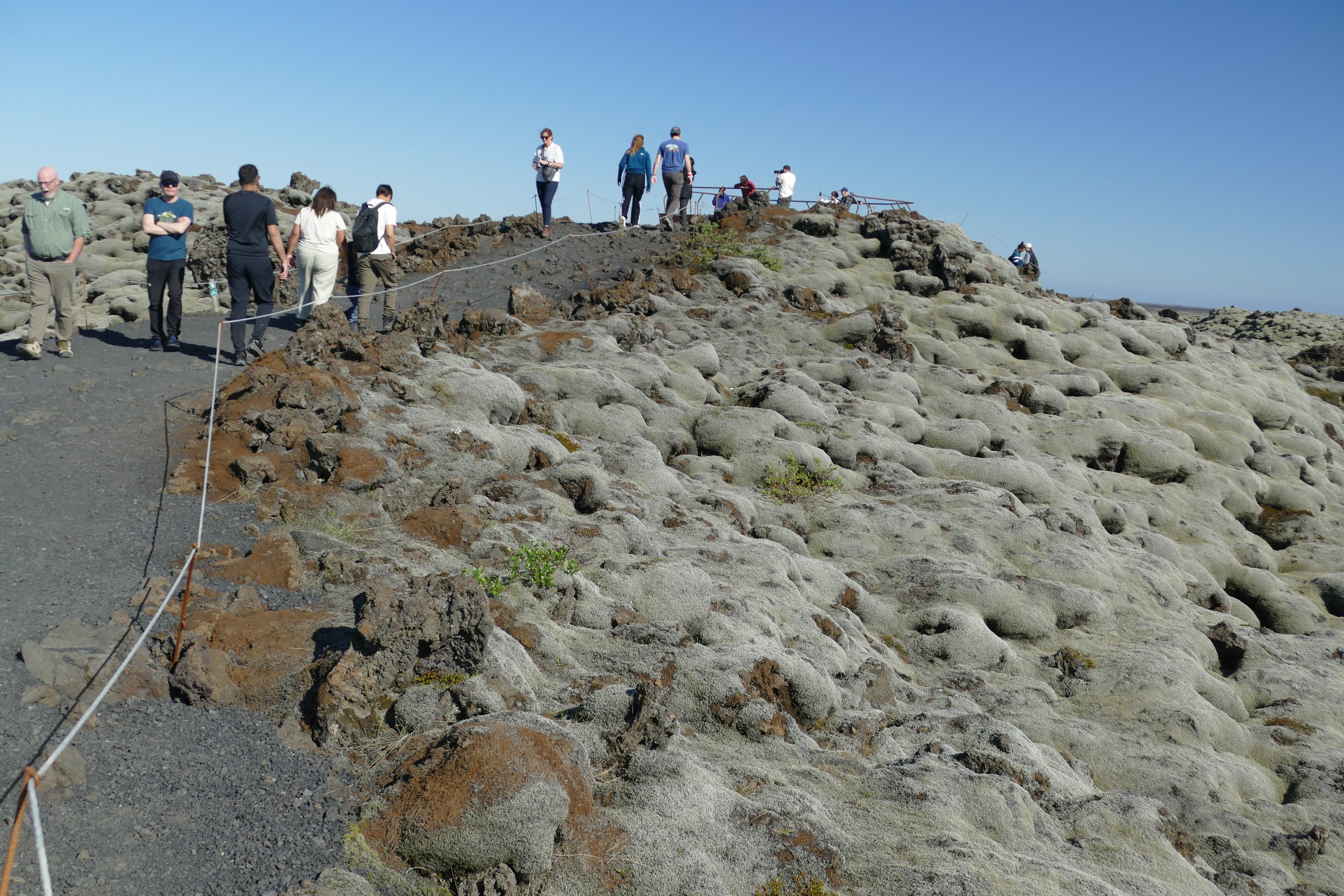  Moss covered lava fields 