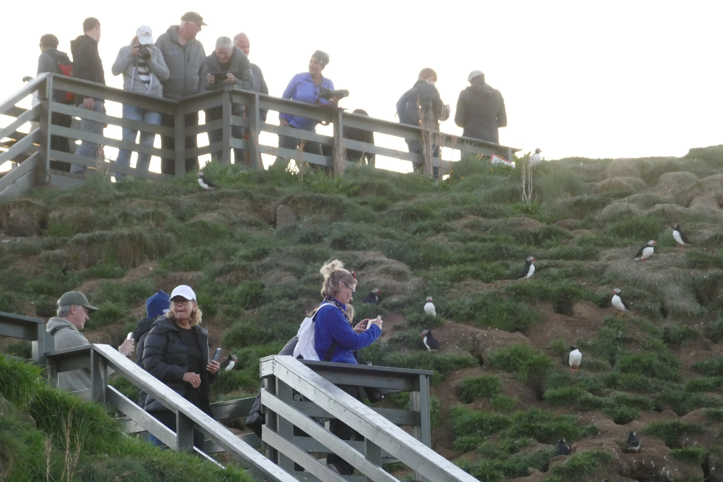  Viewing platform and stairs 