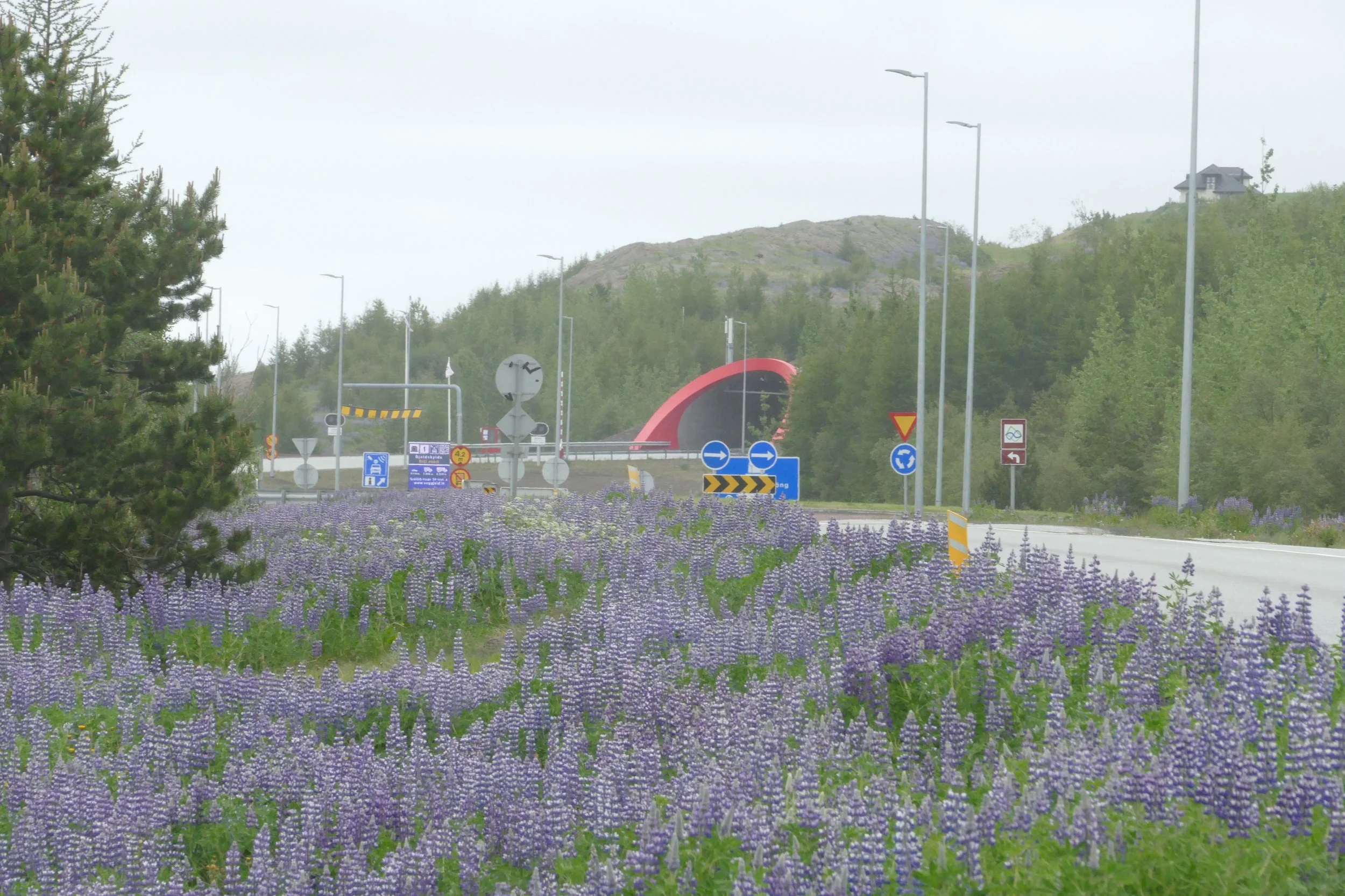 P3480673.JPG