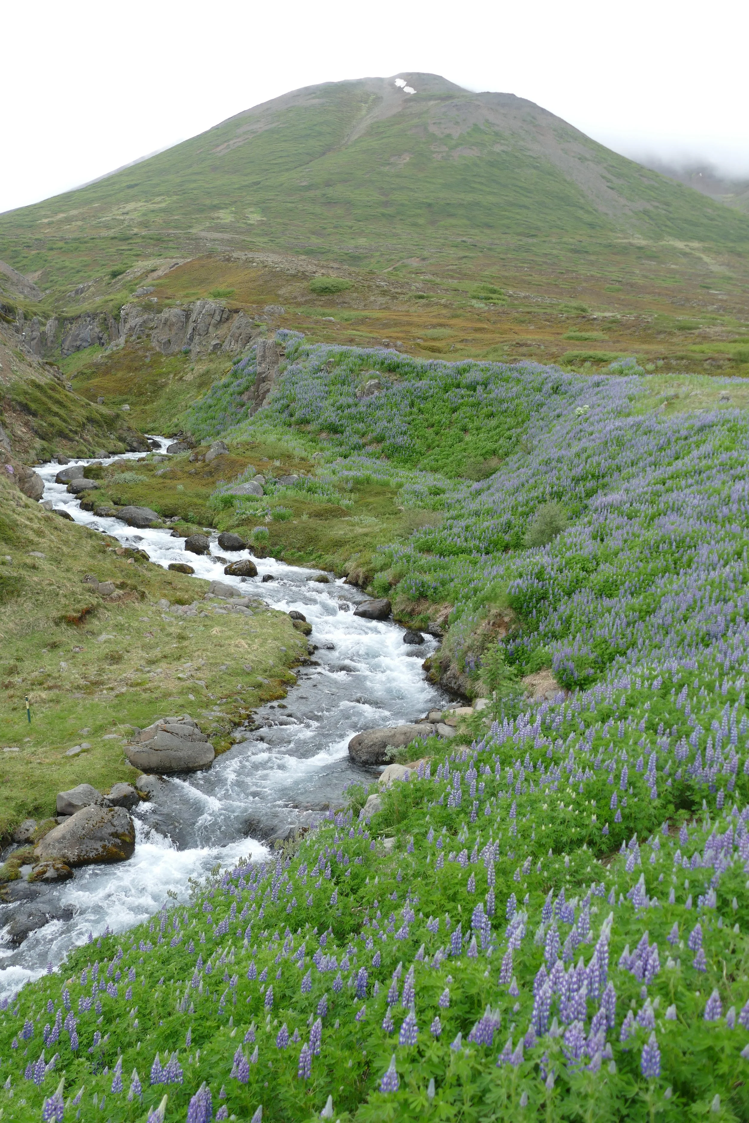 P3480741.JPG