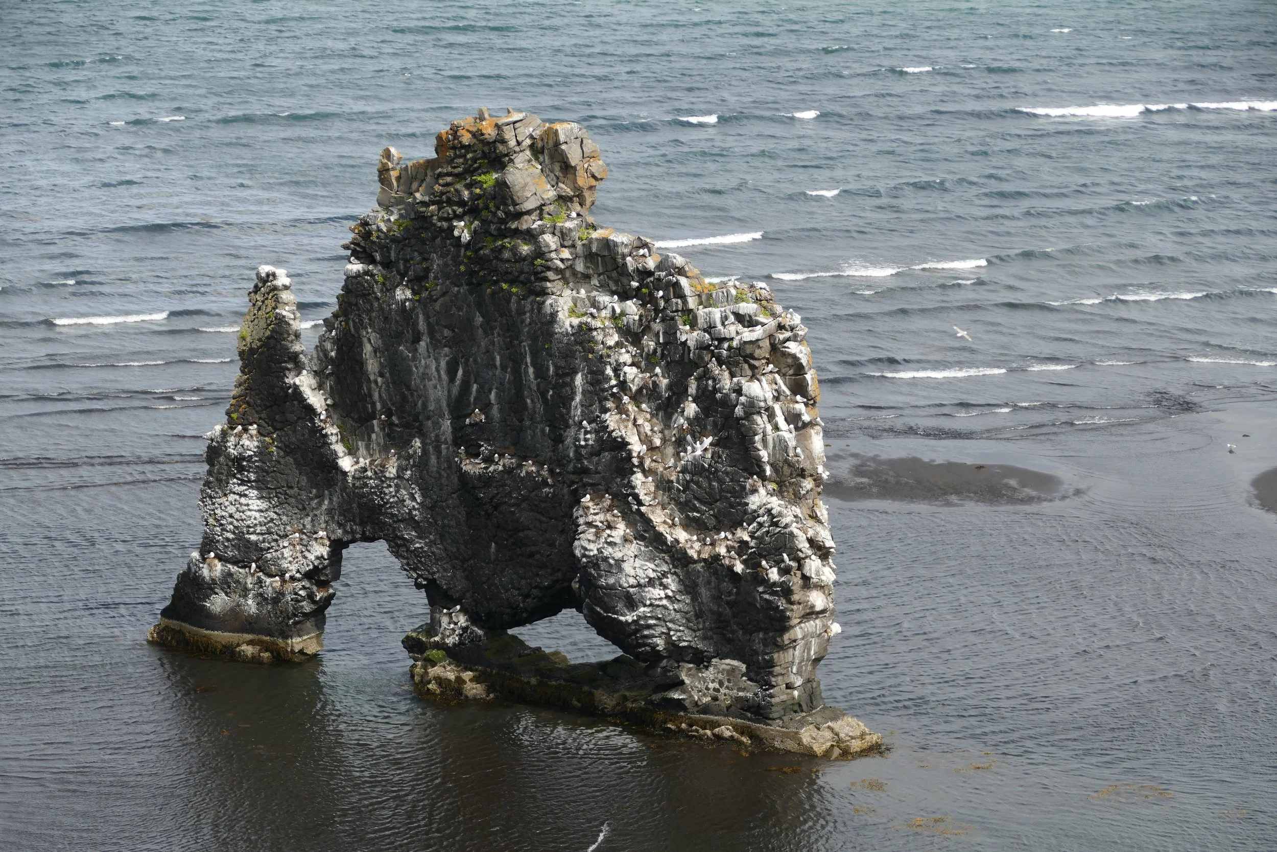 P3490131.JPG