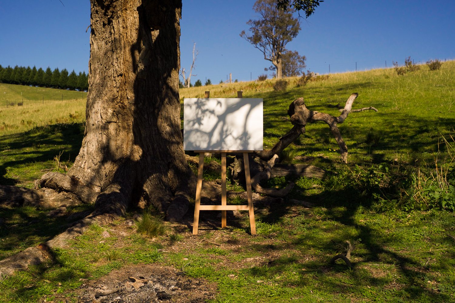 En Plein Air (apple gum), 2014