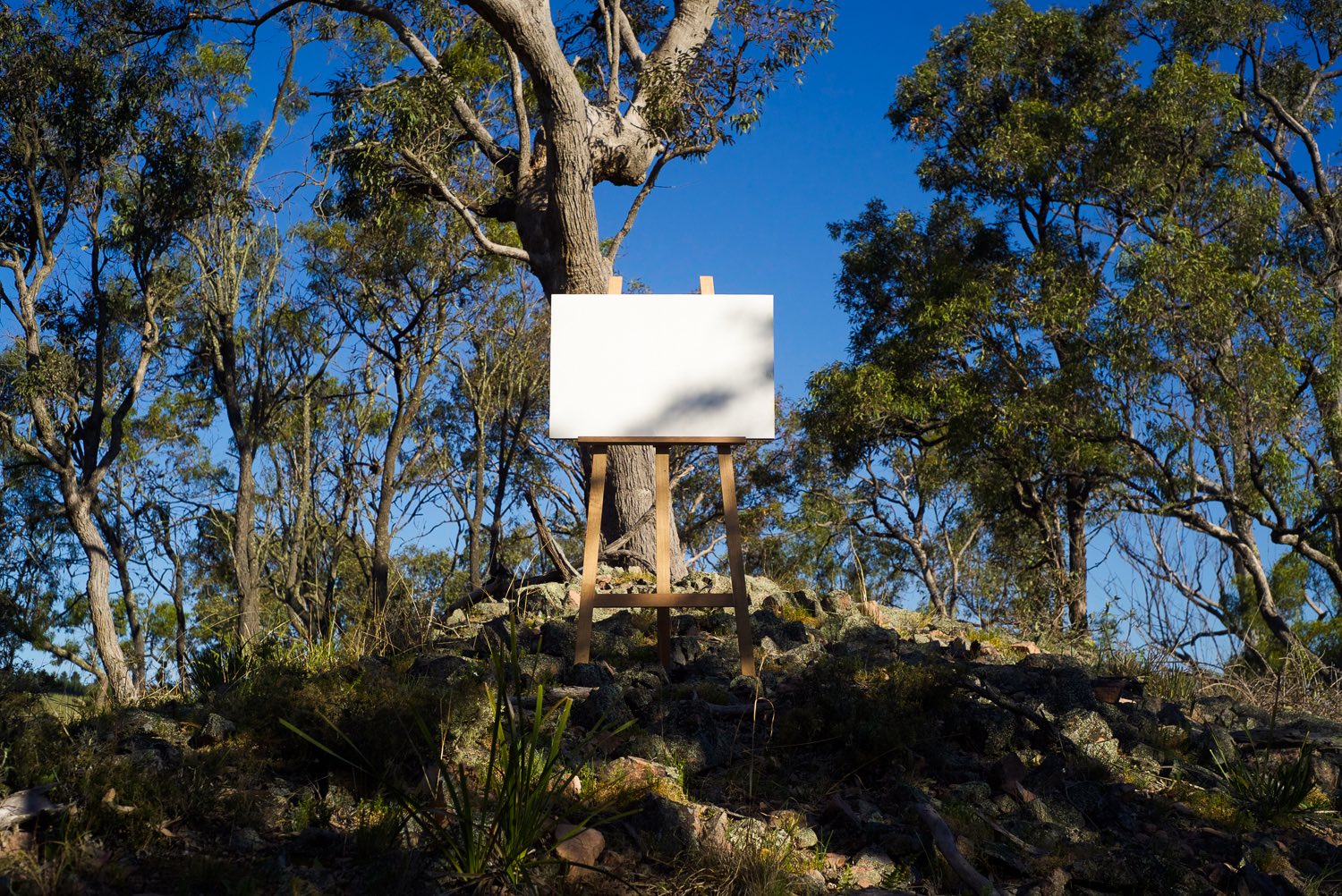 En Plein Air (rocky hill i), 2014