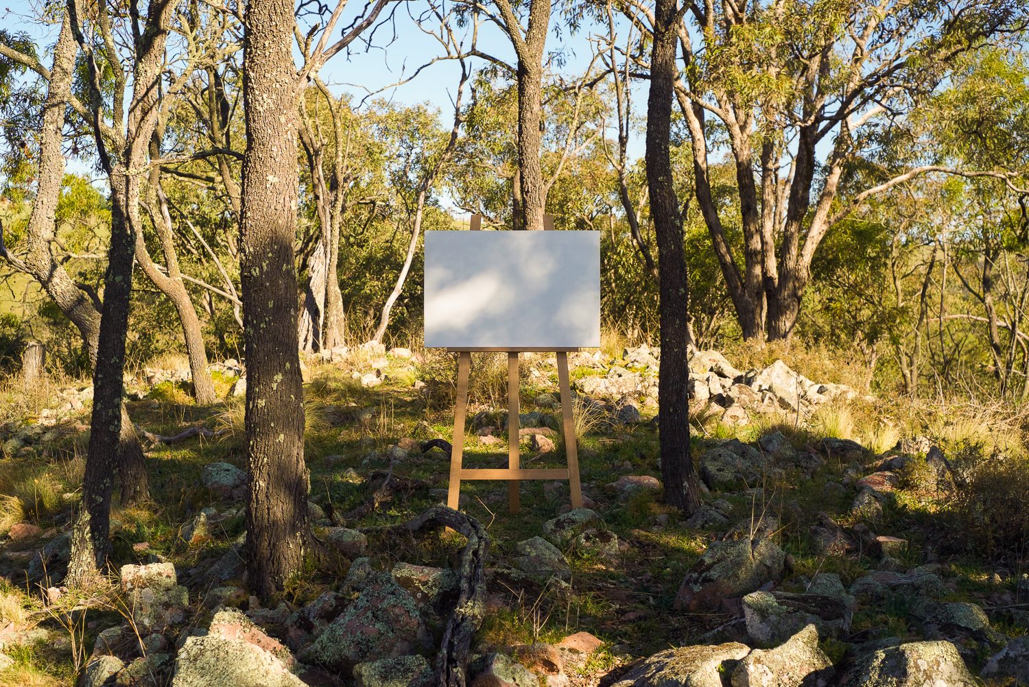 En Plein Air (rocky hill ii), 2014
