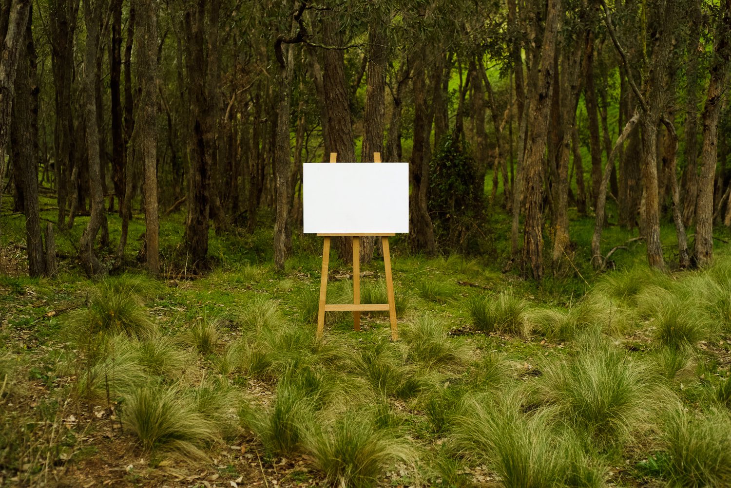 en-plein-air-megalong-3.jpeg