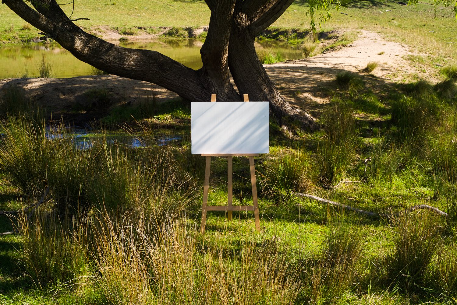 En Plein Air (weeping willow), 2014