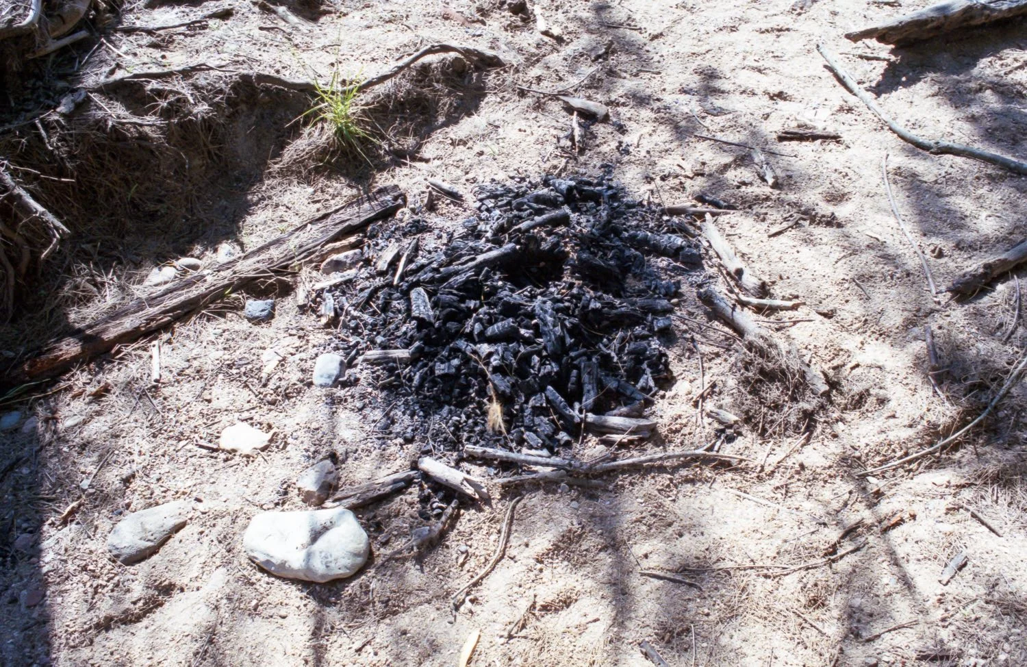 Campfire cinders, Coxs River, 2016