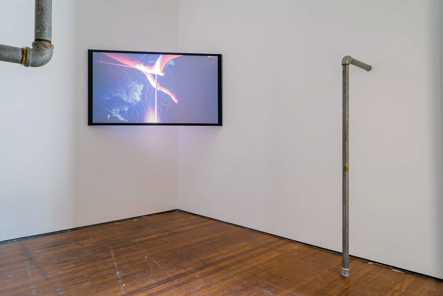 Installation view, SCA Galleries, 2017