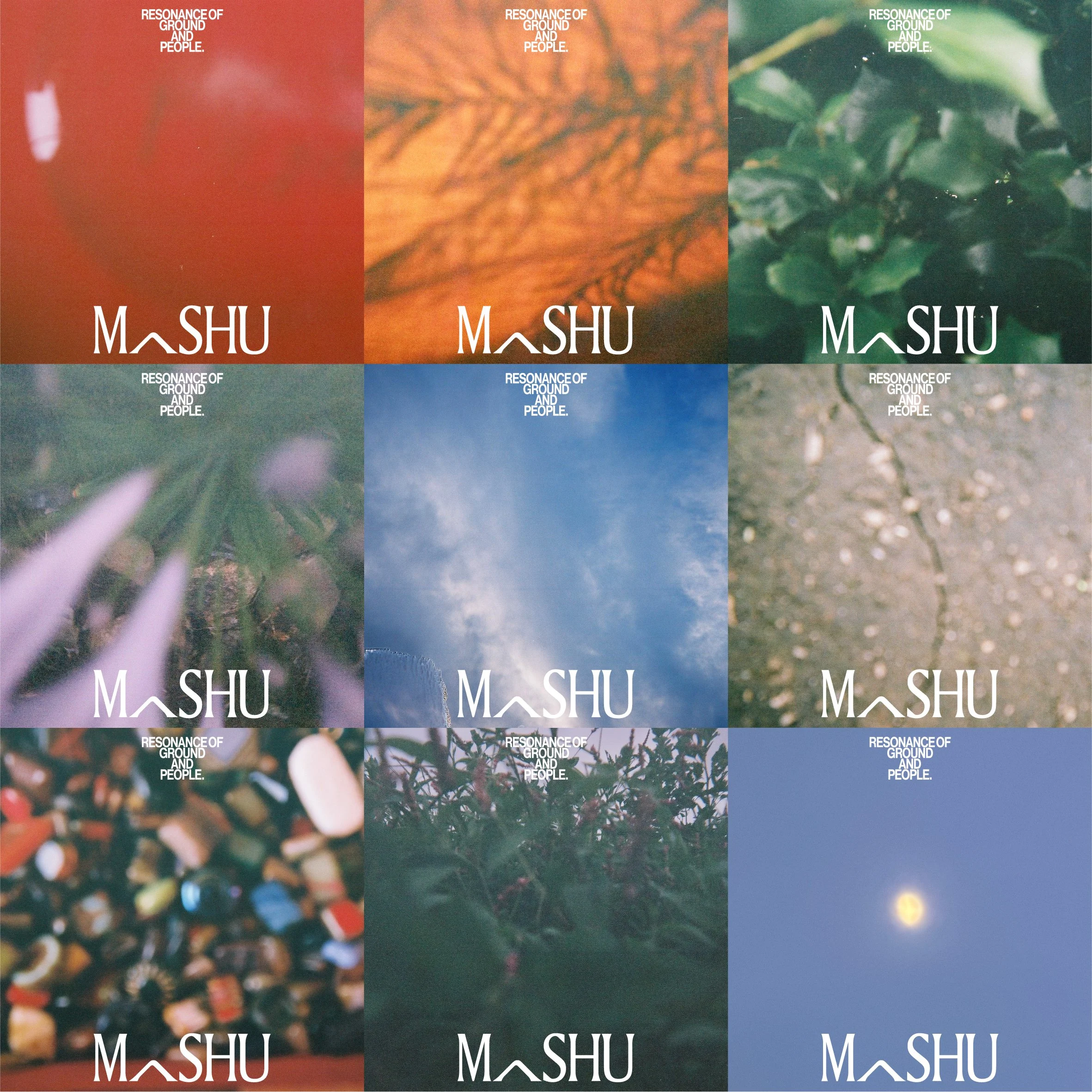 MASHU_rebrand_5.jpg