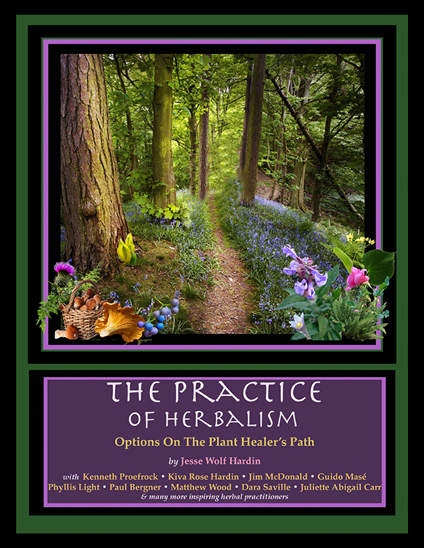 Practice of Herbalism Cover 2sm.jpg