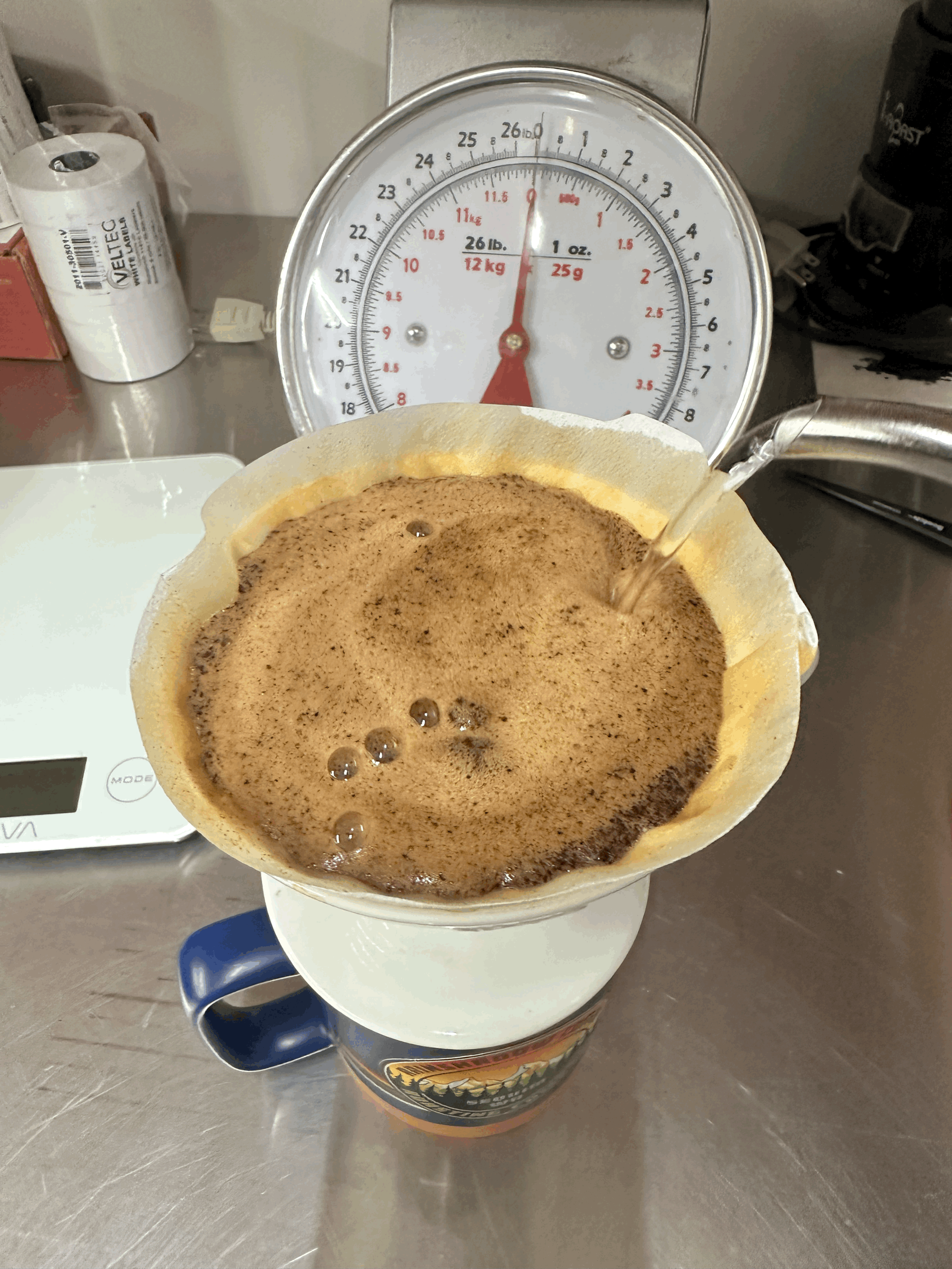 tempImageGkBUO8.gif