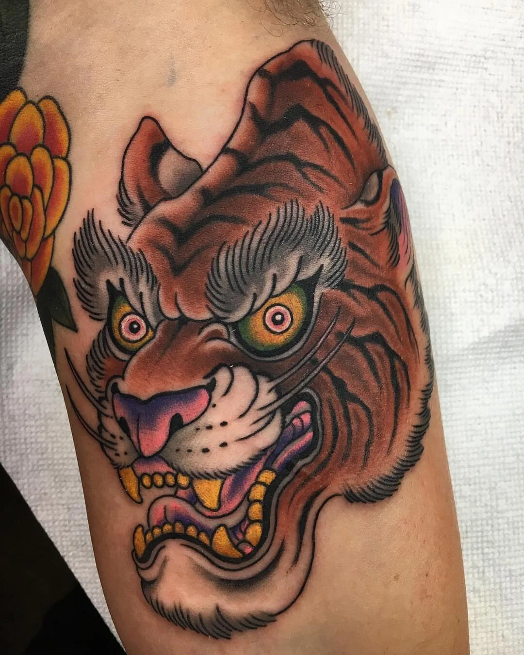 Tiger Head