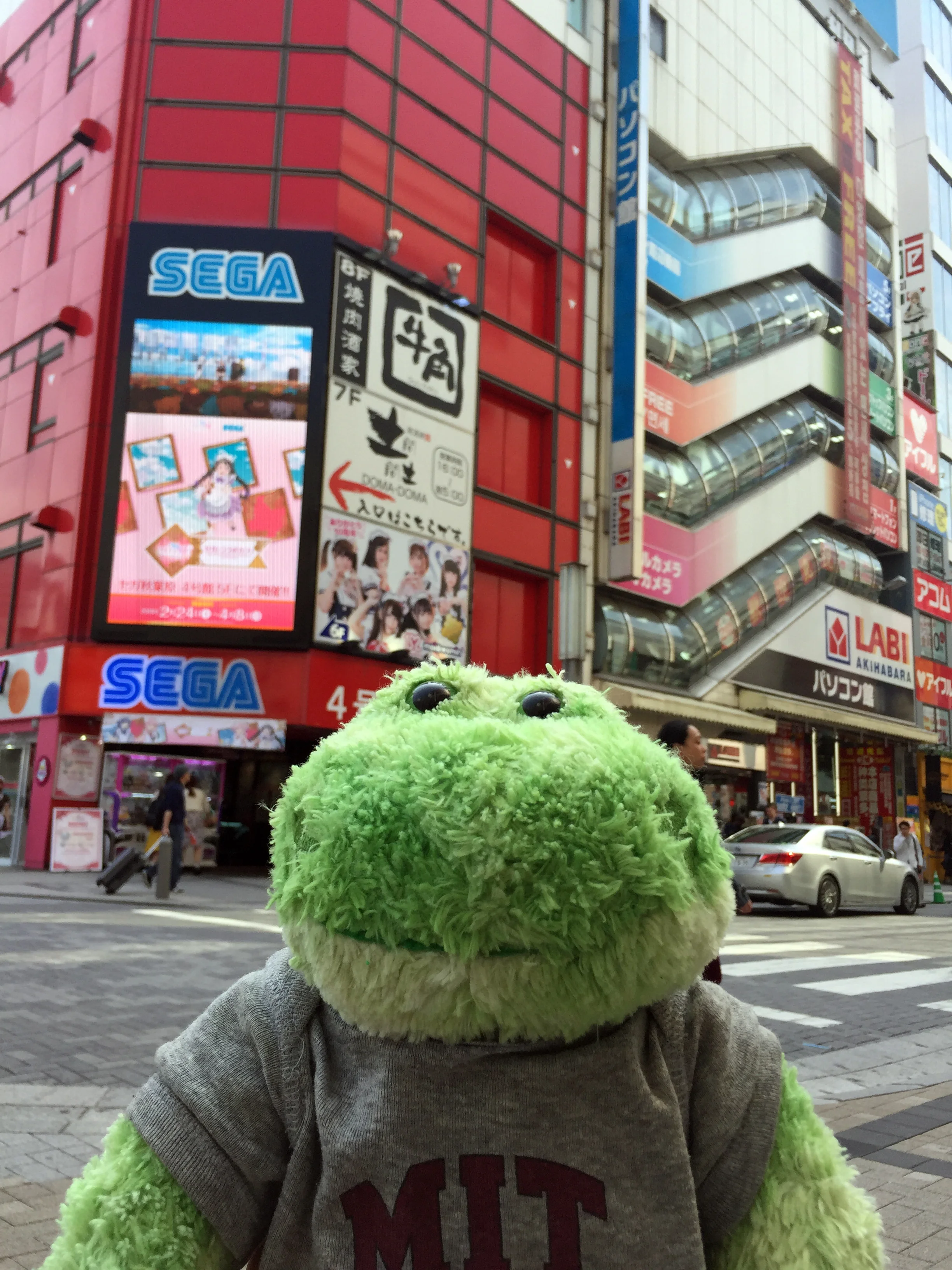 Otaku paradise