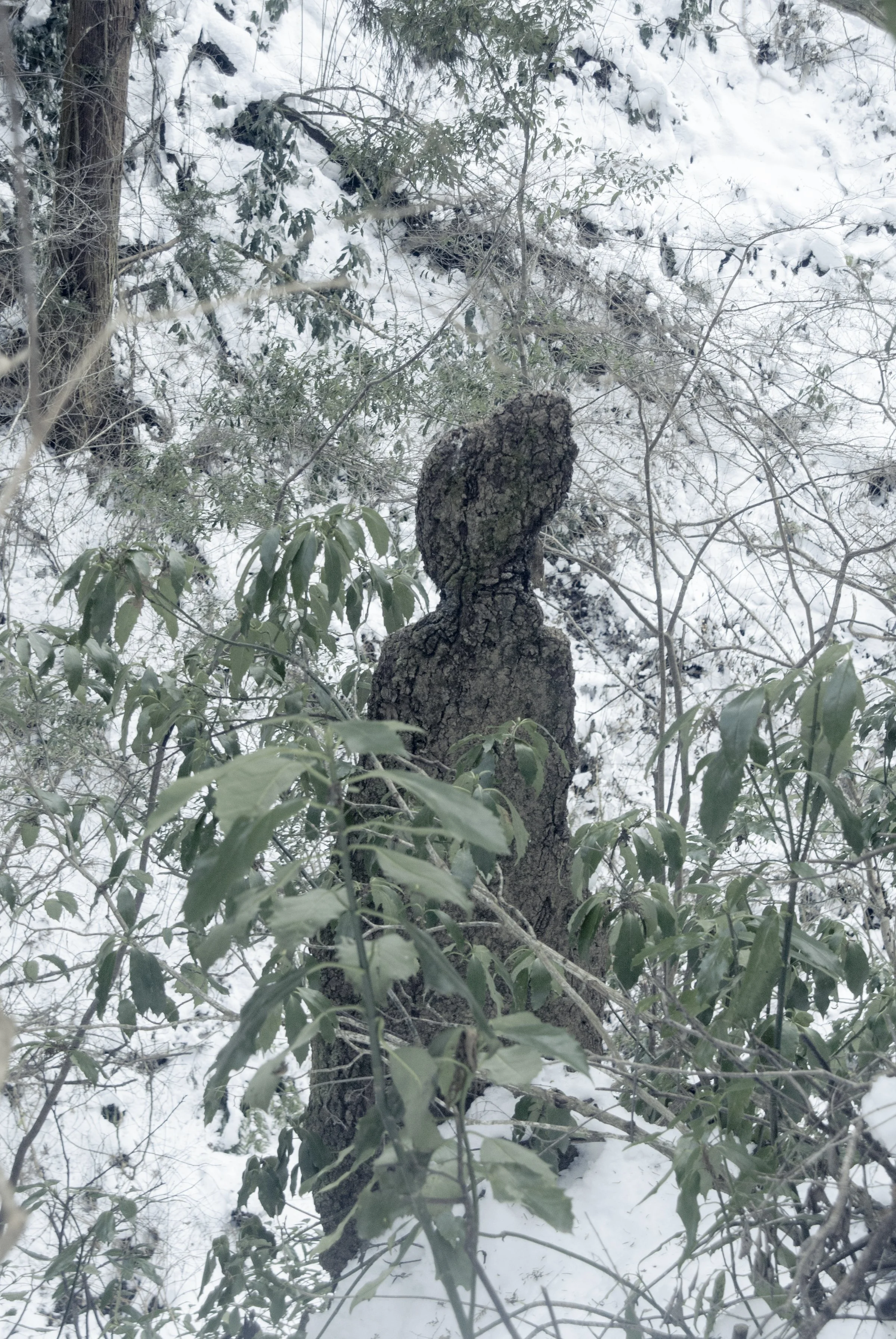 A World of One Color