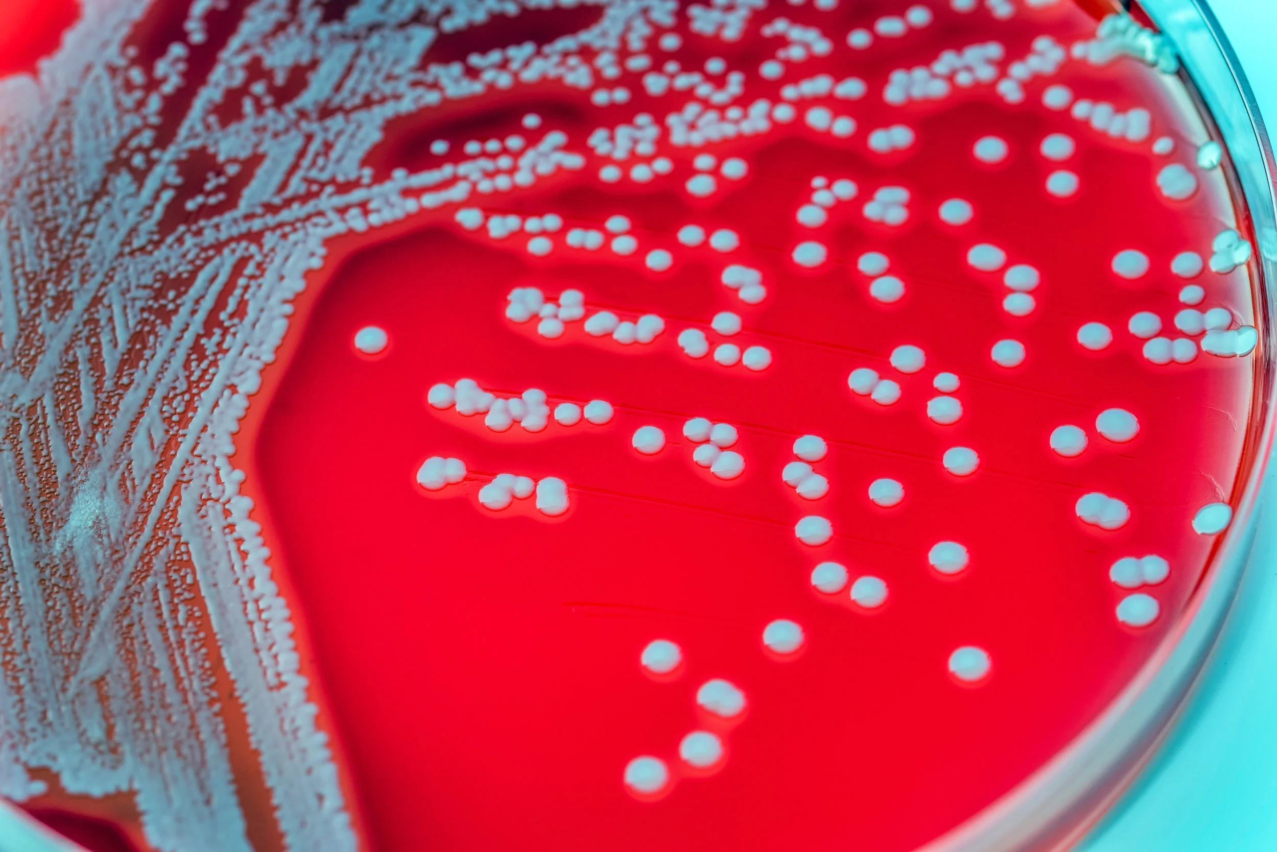 Microbio Expertise
