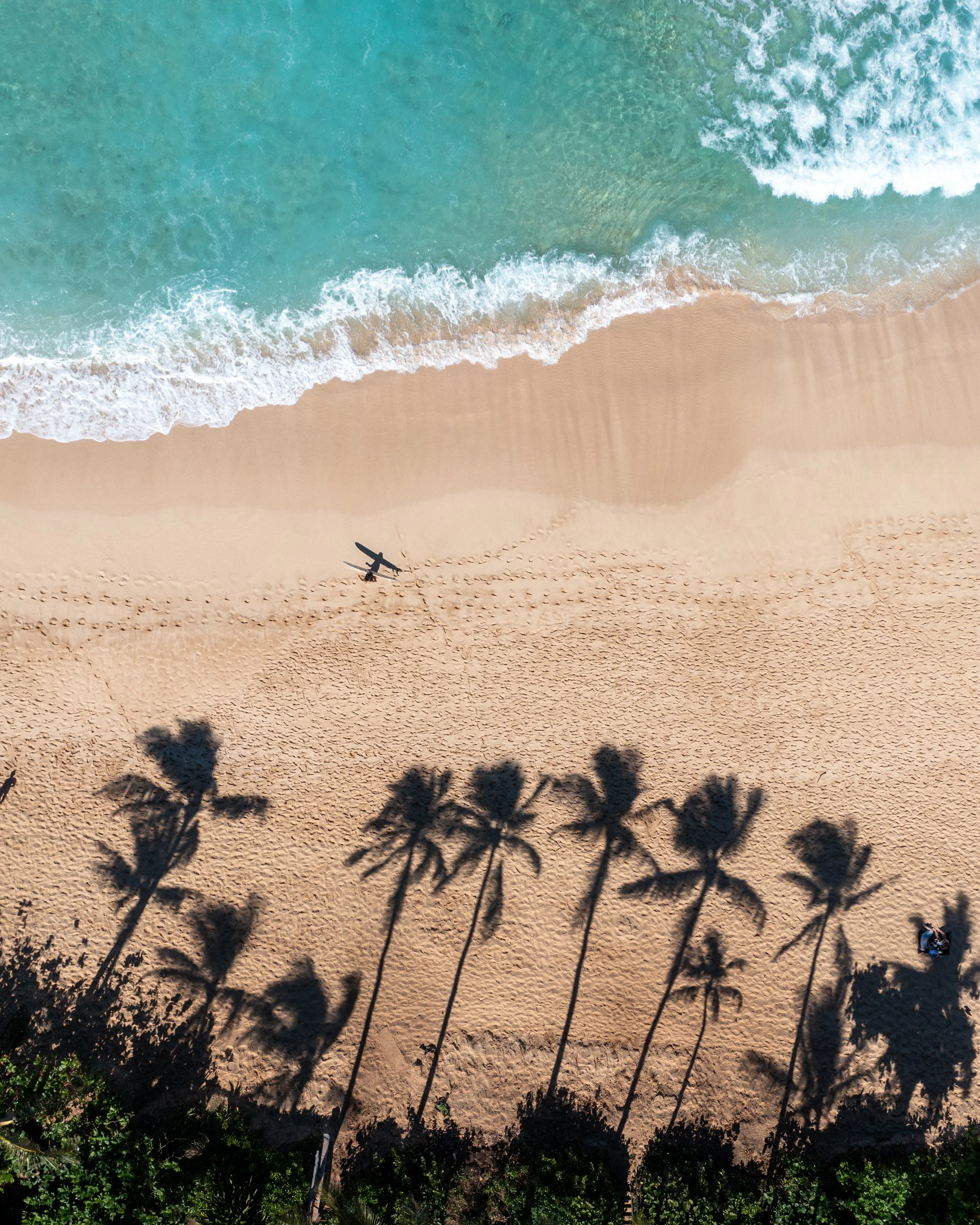 ehukai from above.jpg