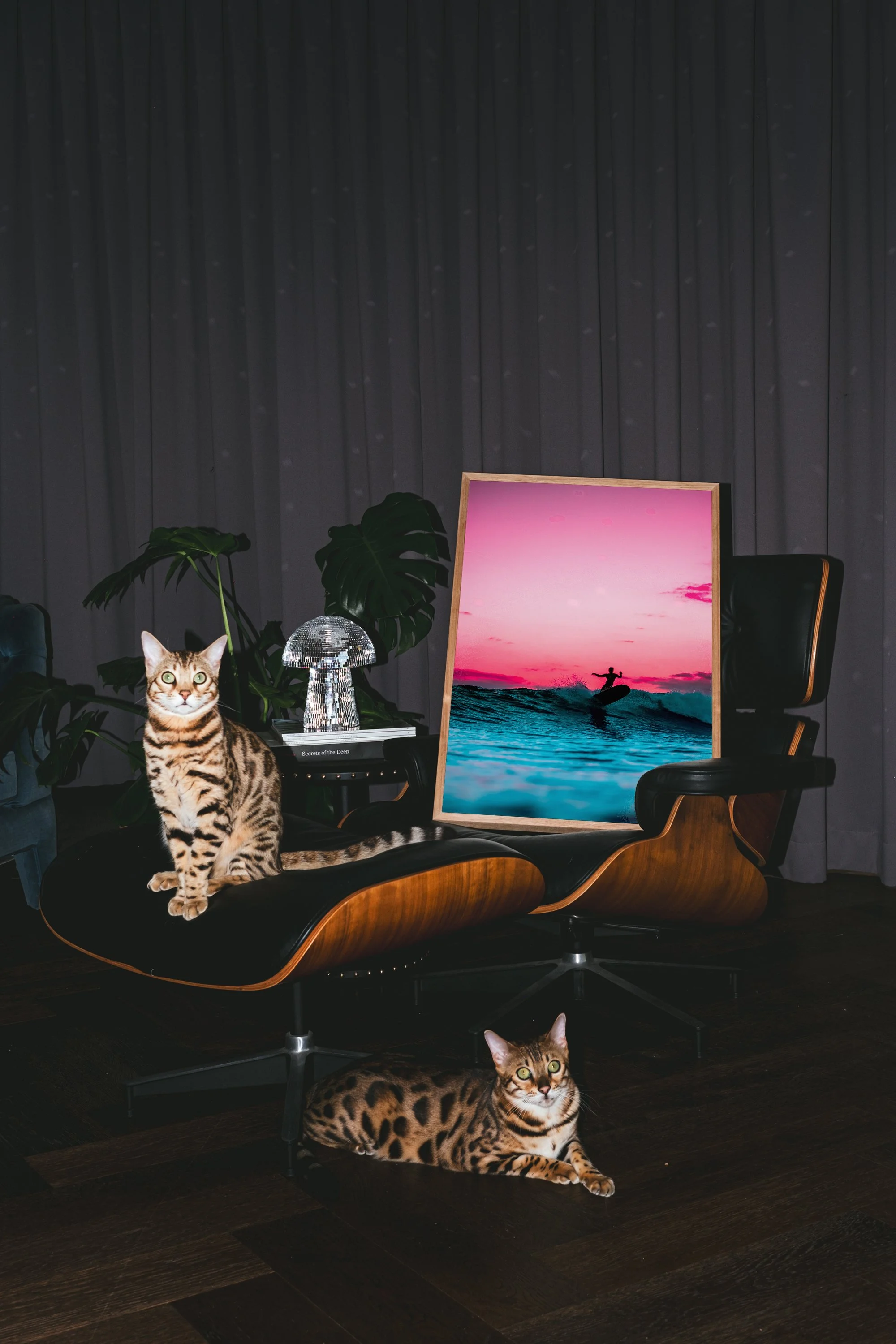 watermelon sugar.jpg