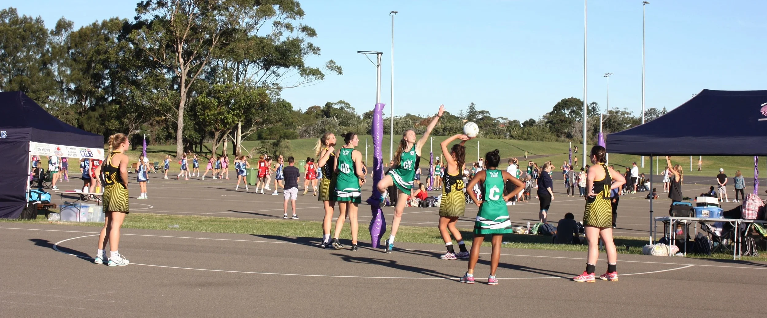 IMG_3266 copy 2.jpg