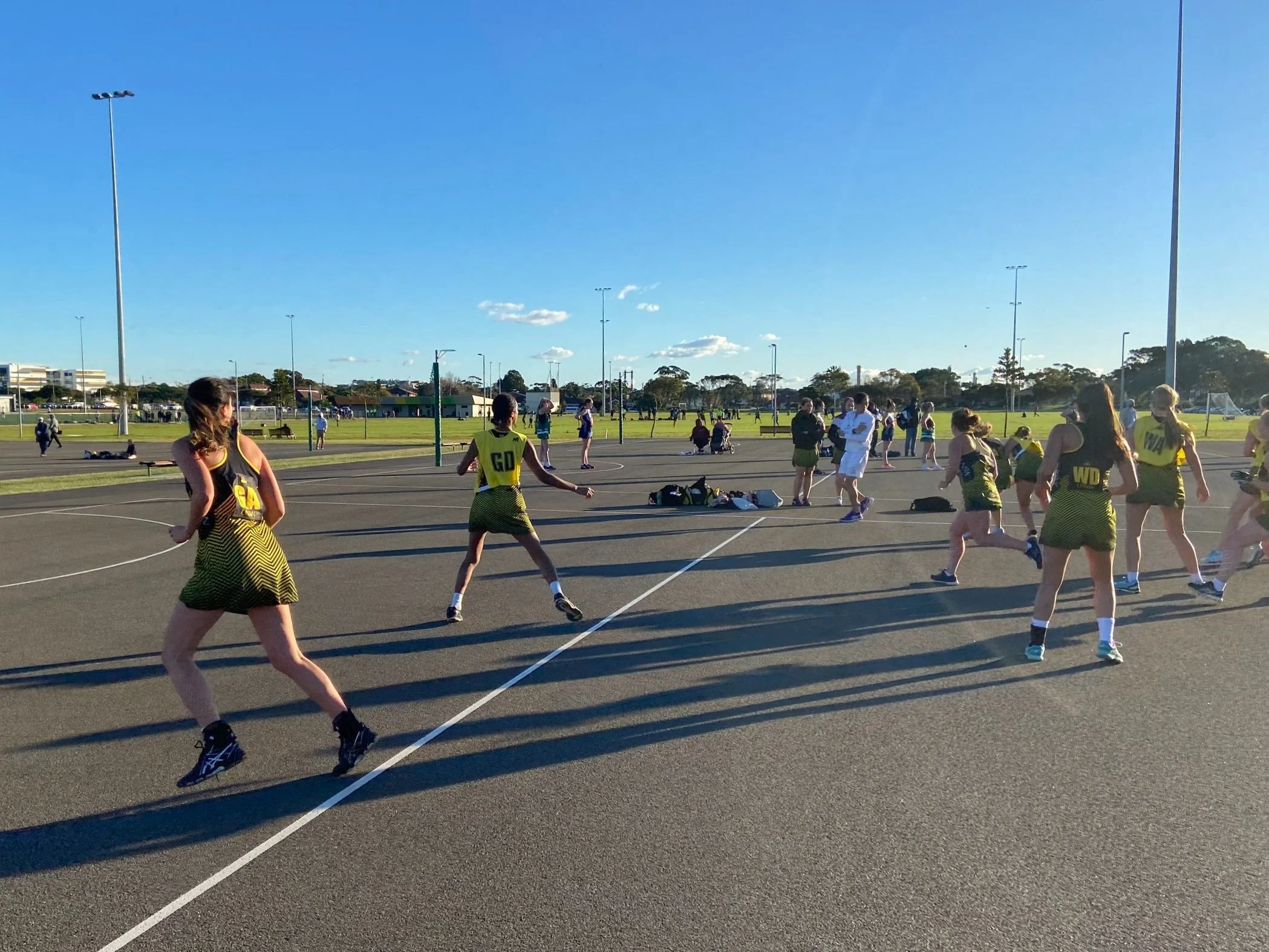 Umpire — UNSW Netball