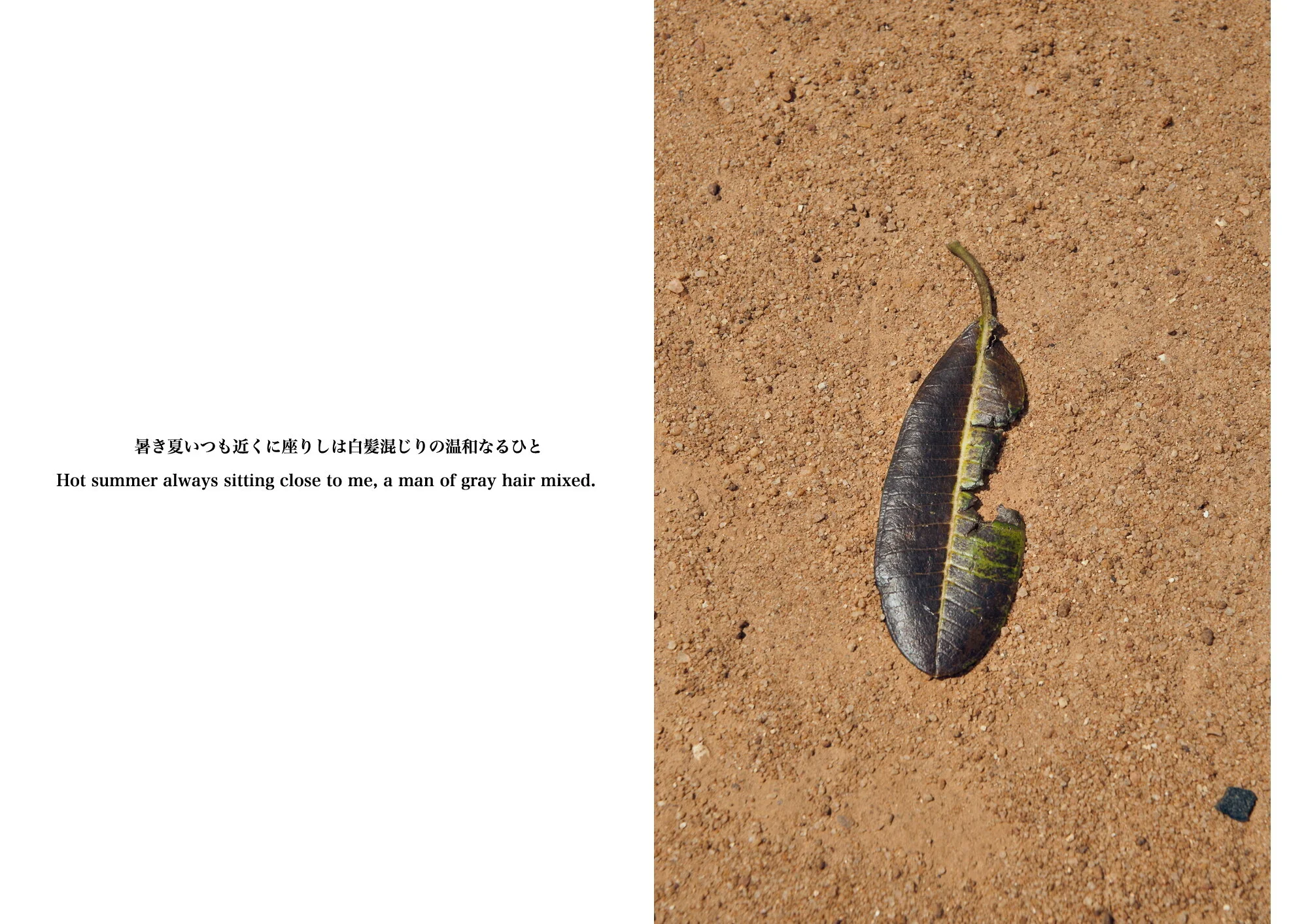 Kai_Yokoyama_Umbilical Memories1.JPG