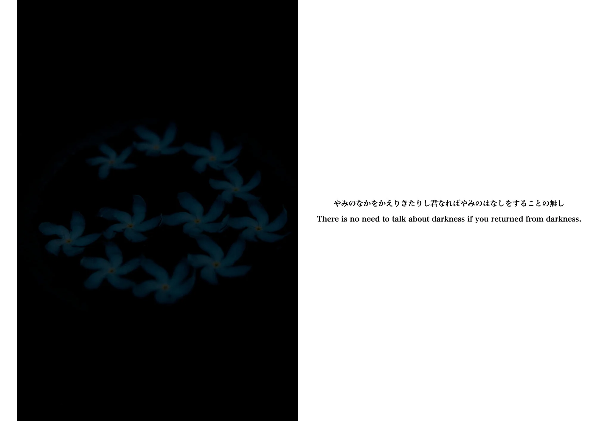 Kai_Yokoyama_Umbilical Memories3.JPG