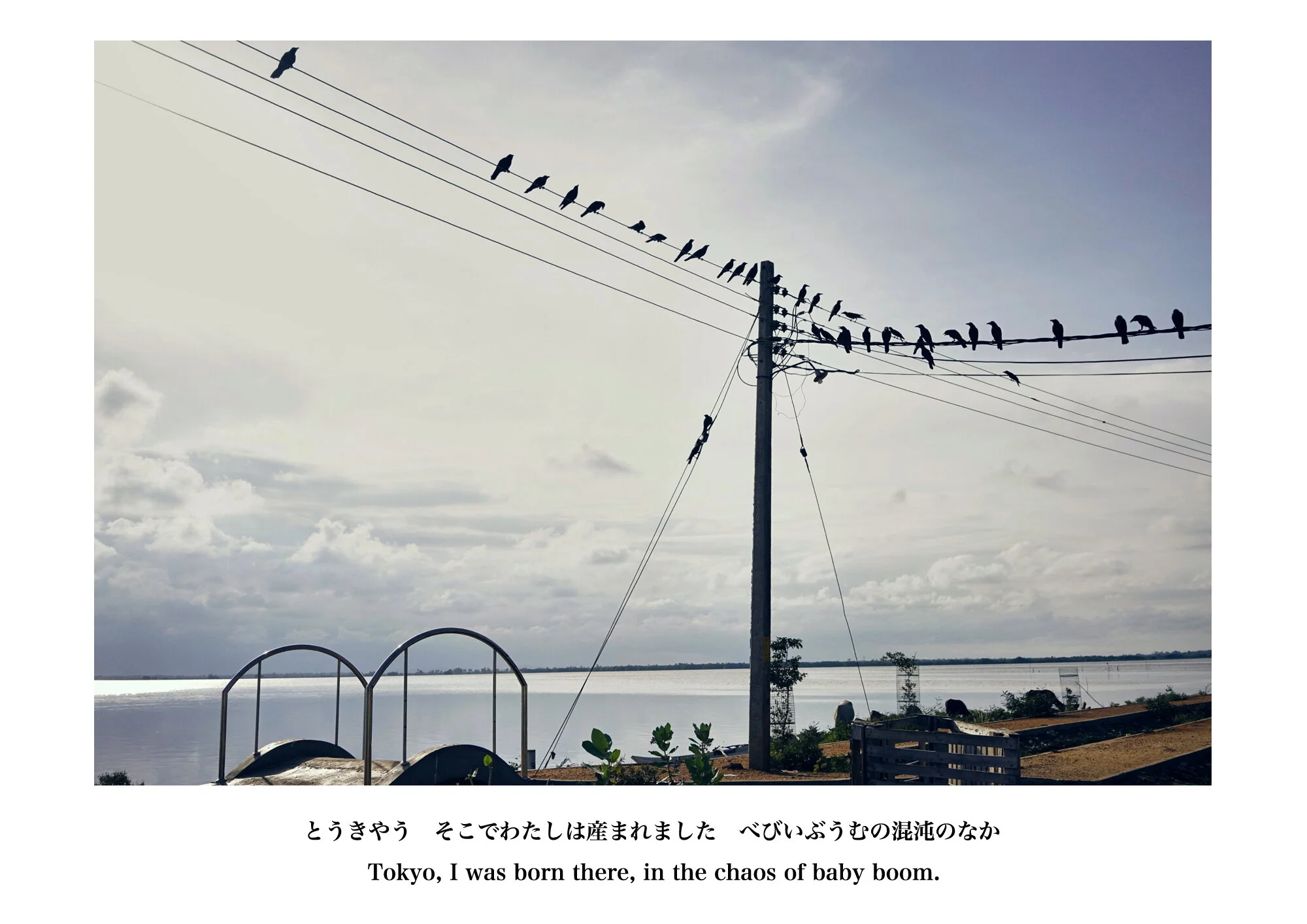 Kai_Yokoyama_Umbilical Memories12.JPG