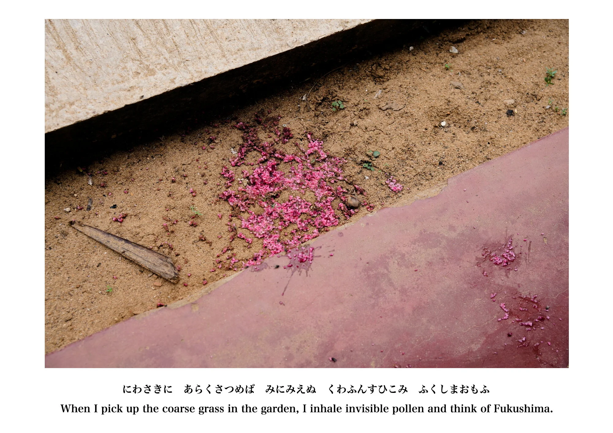 Kai_Yokoyama_Umbilical Memories10.JPG