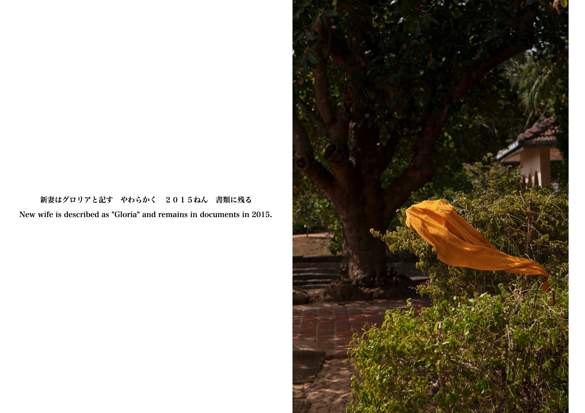 Kai_Yokoyama_Umbilical Memories20.JPG