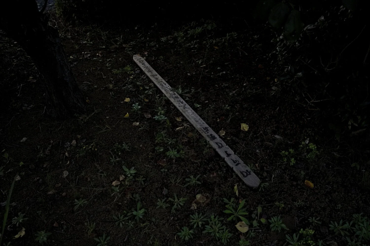 14_The day you were born, I wasn't born yet.JPG