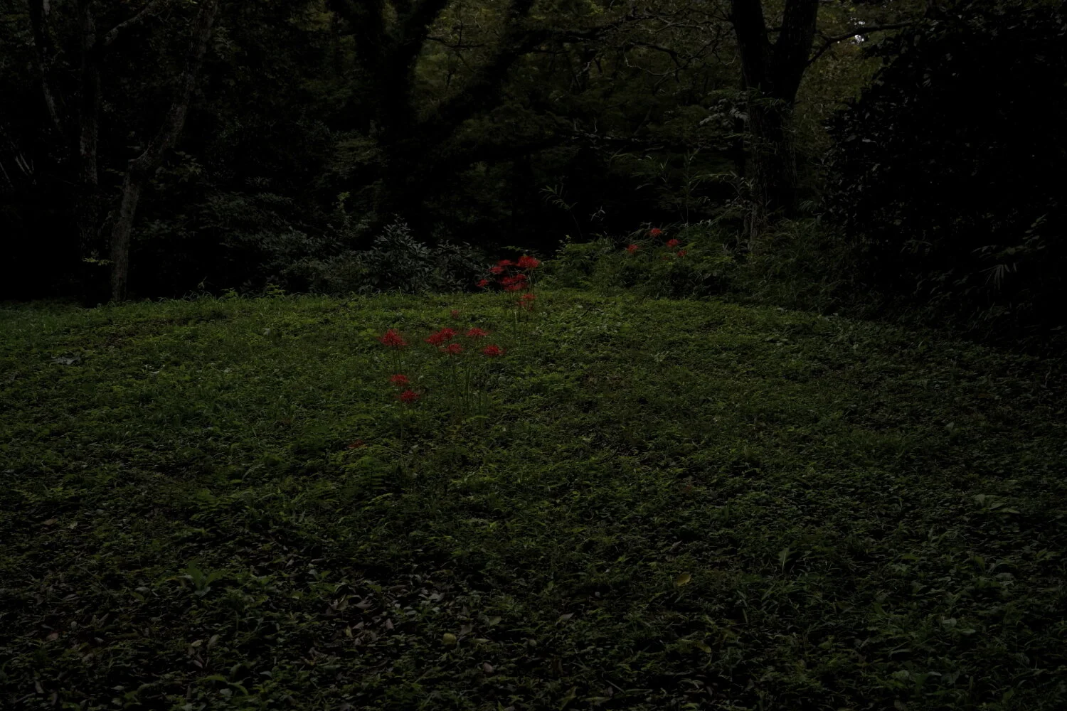 18_The day you were born, I wasn't born yet.JPG