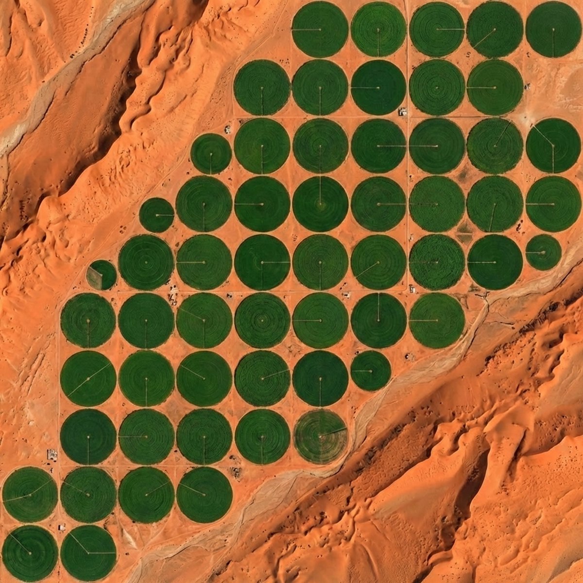 Desert_Circles_Clean_X_Optimized.jpg