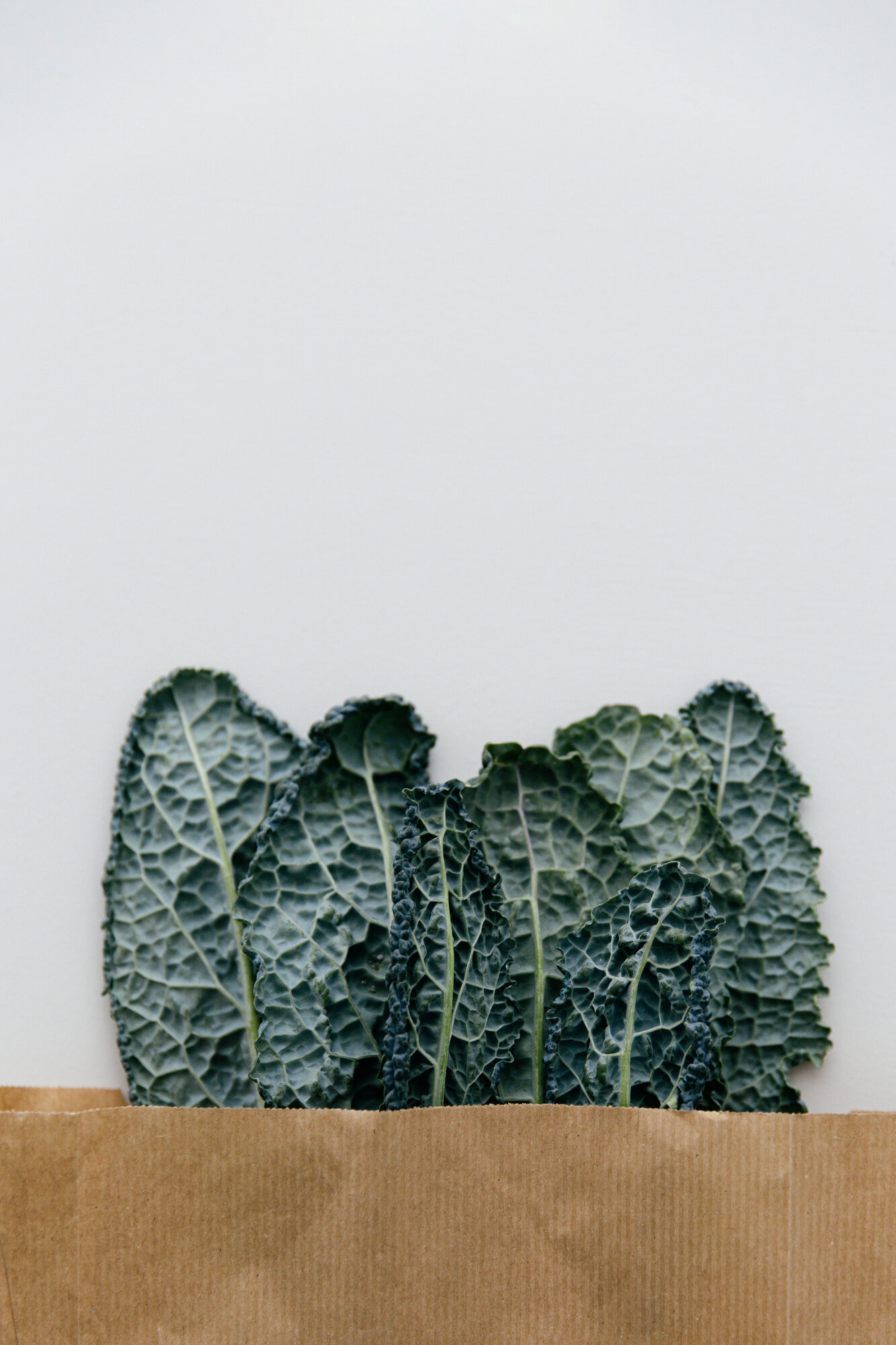 Kale | photography &amp; styling by Joske Simmelink