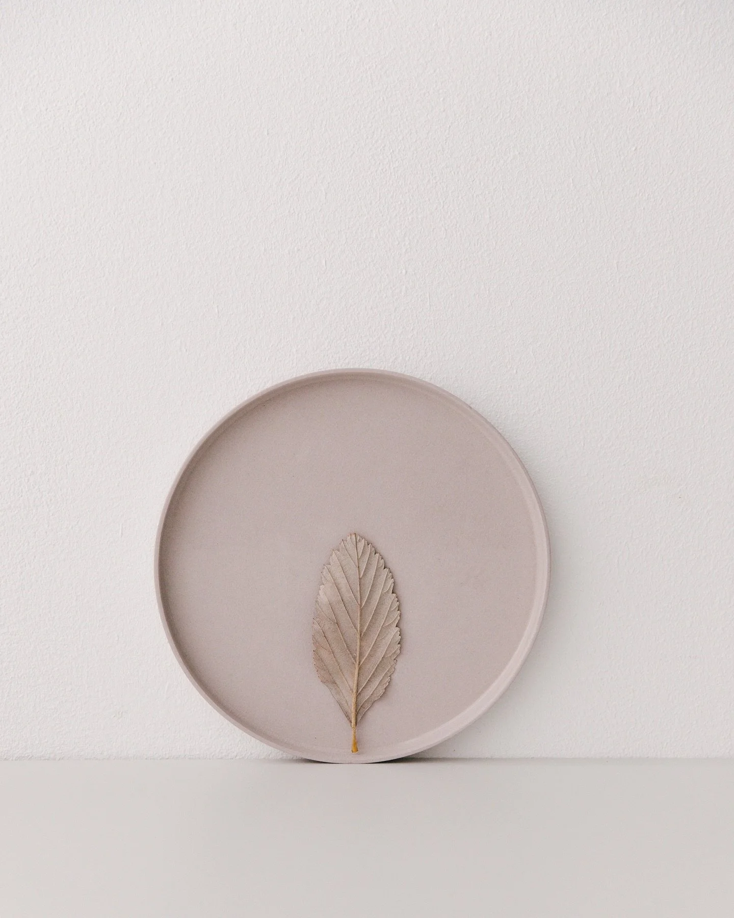 Ton sur ton in taupe.
Don&rsquo;t get me wrong I love the warm browns, oranges and yellows of fall. But these leaves surprised me and fitted perfectly with the shade of one of my favourite plates!
Going to clock out early today getting ready for a de