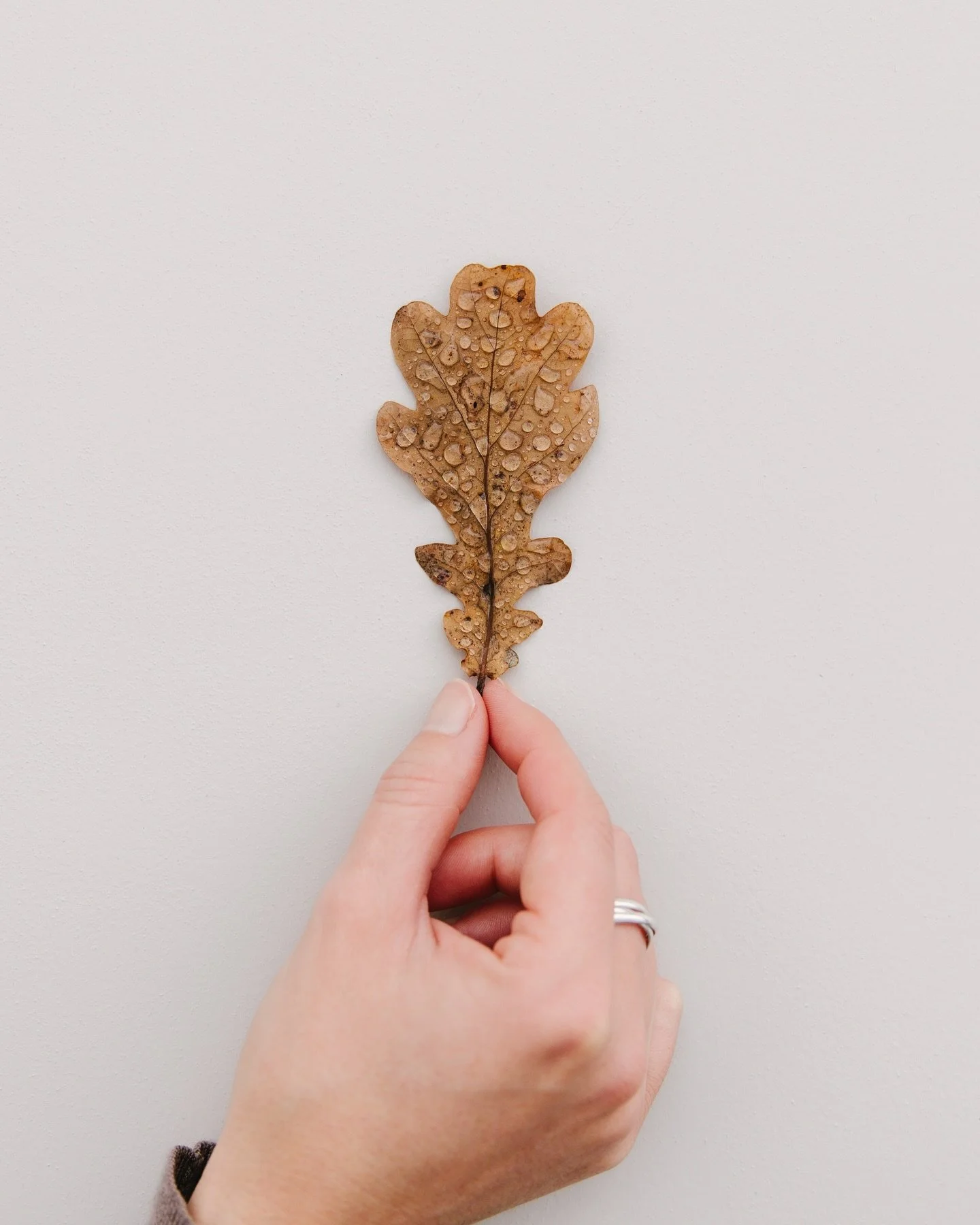 A little lost for words on this Monday morning 🍂
I will just add a beautiful piece of music instead, to illustrate this images and reflect my mood.
Have a wonderful week 🤎