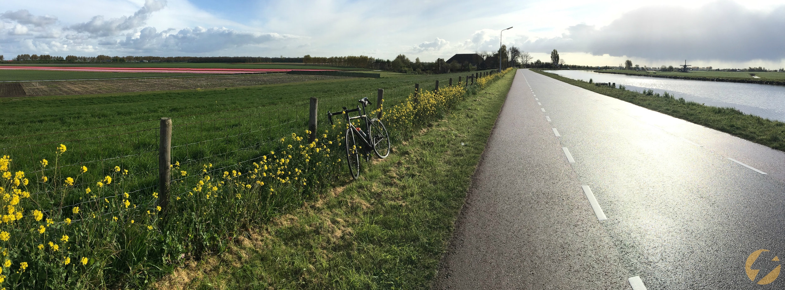 Rebel Triathlon Coaching 3.jpg