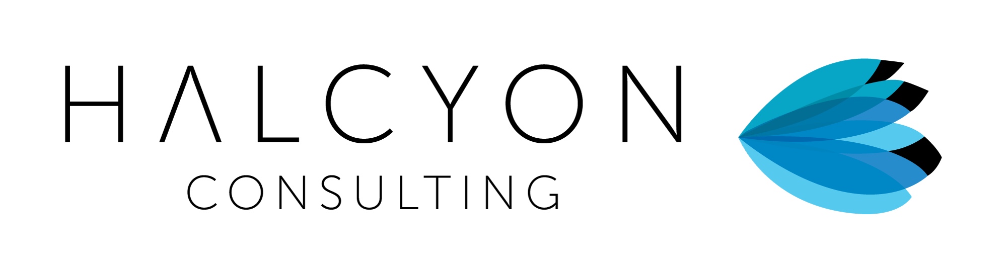 Halcyon Consulting 