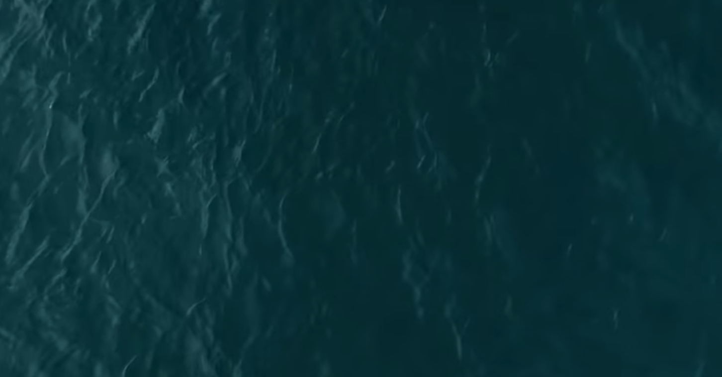Screen Shot 2018-12-17 at 8.16.45 PM.png