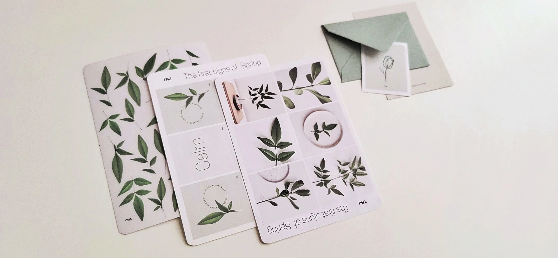 The First Signs of Spring