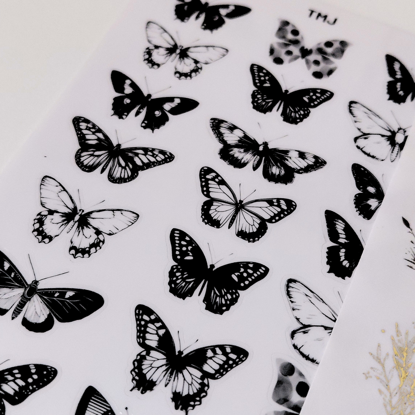 STCK26 (25).png