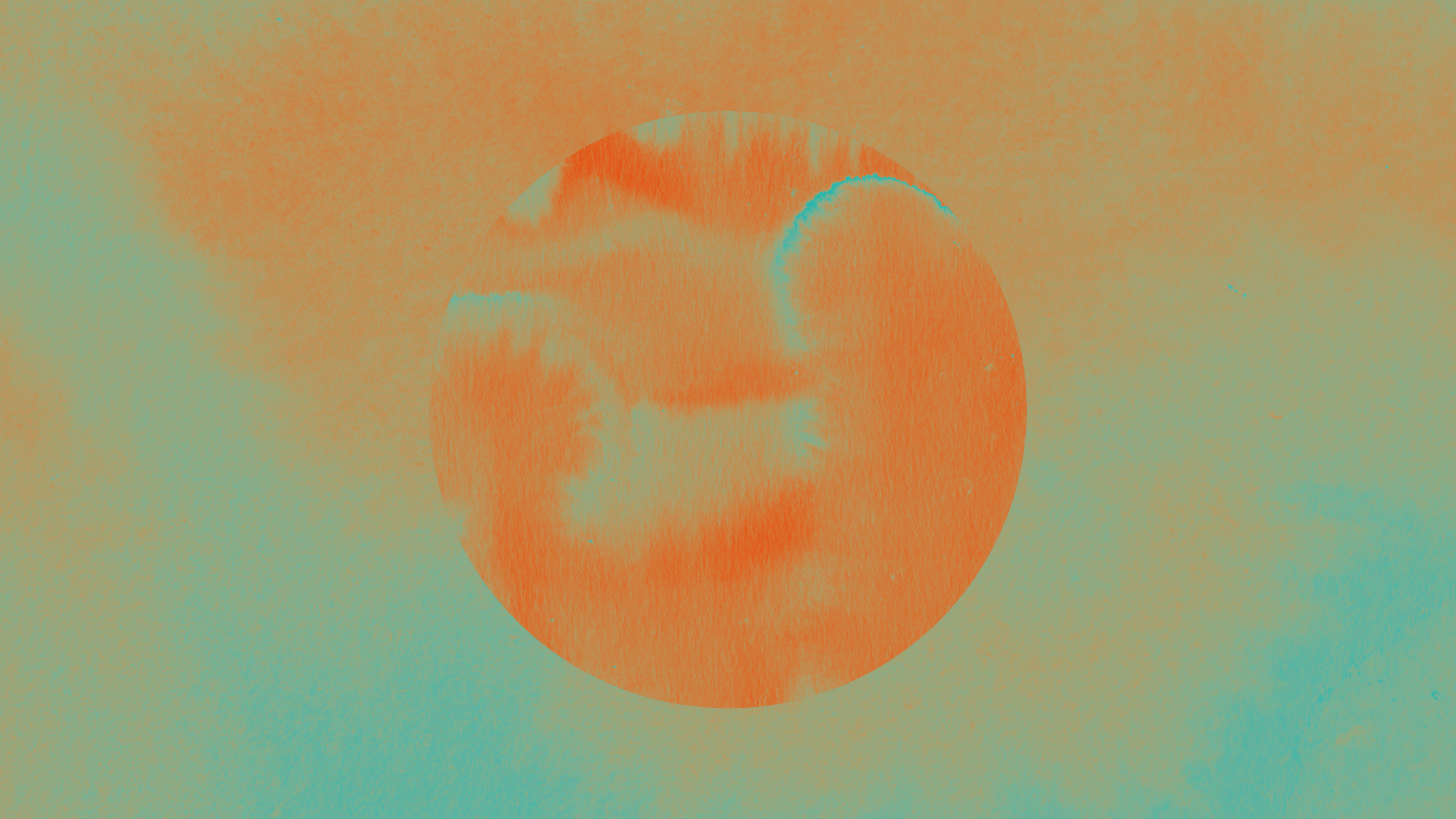 SOFIE BIRCH / CARA TOLMIE