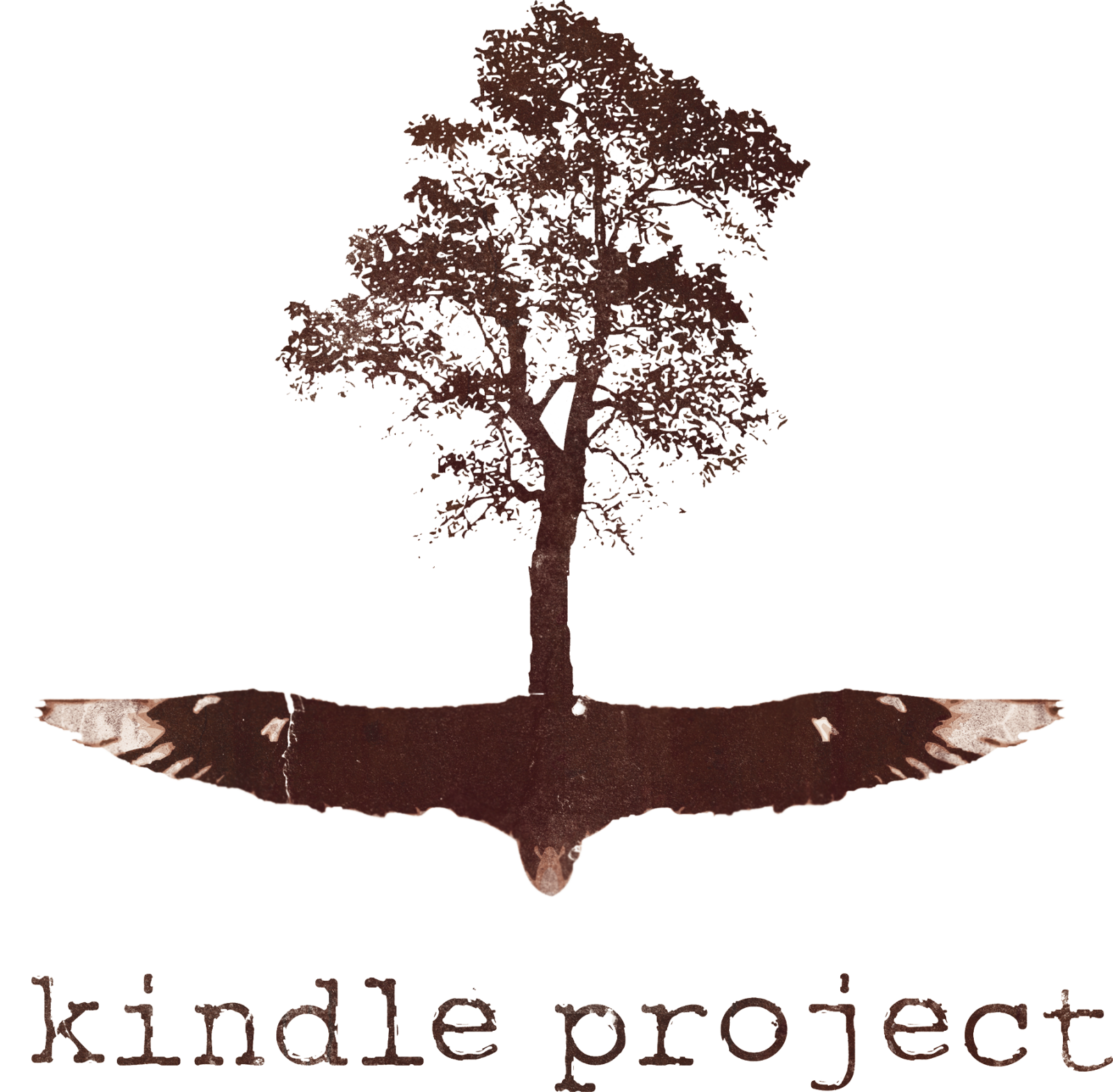 KINDLE_logo_LARGE.png