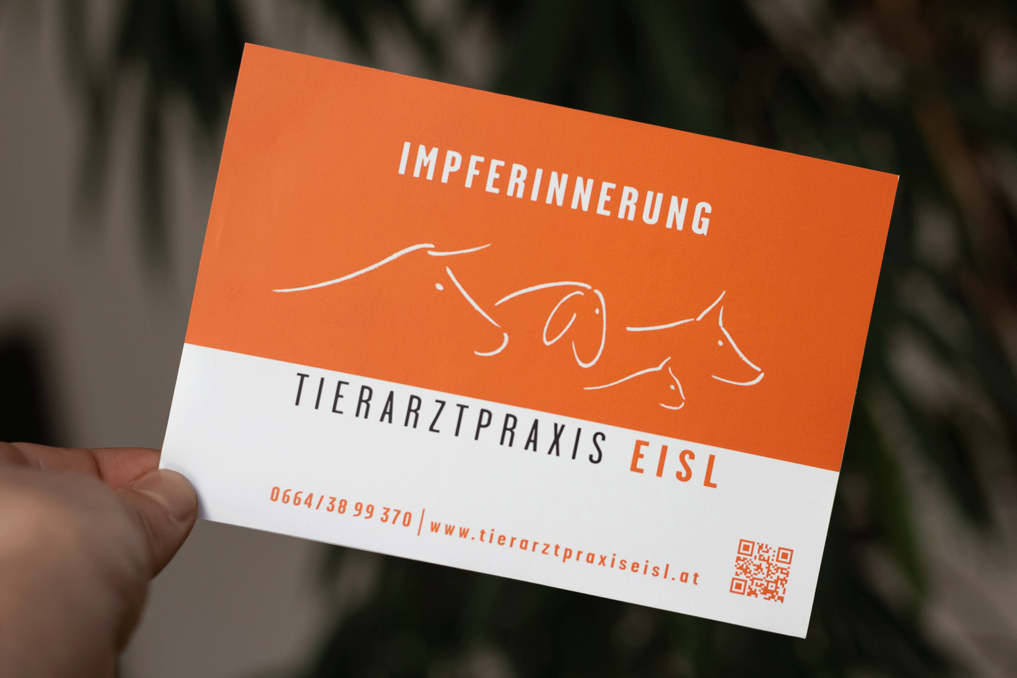 impferinnerung.gif