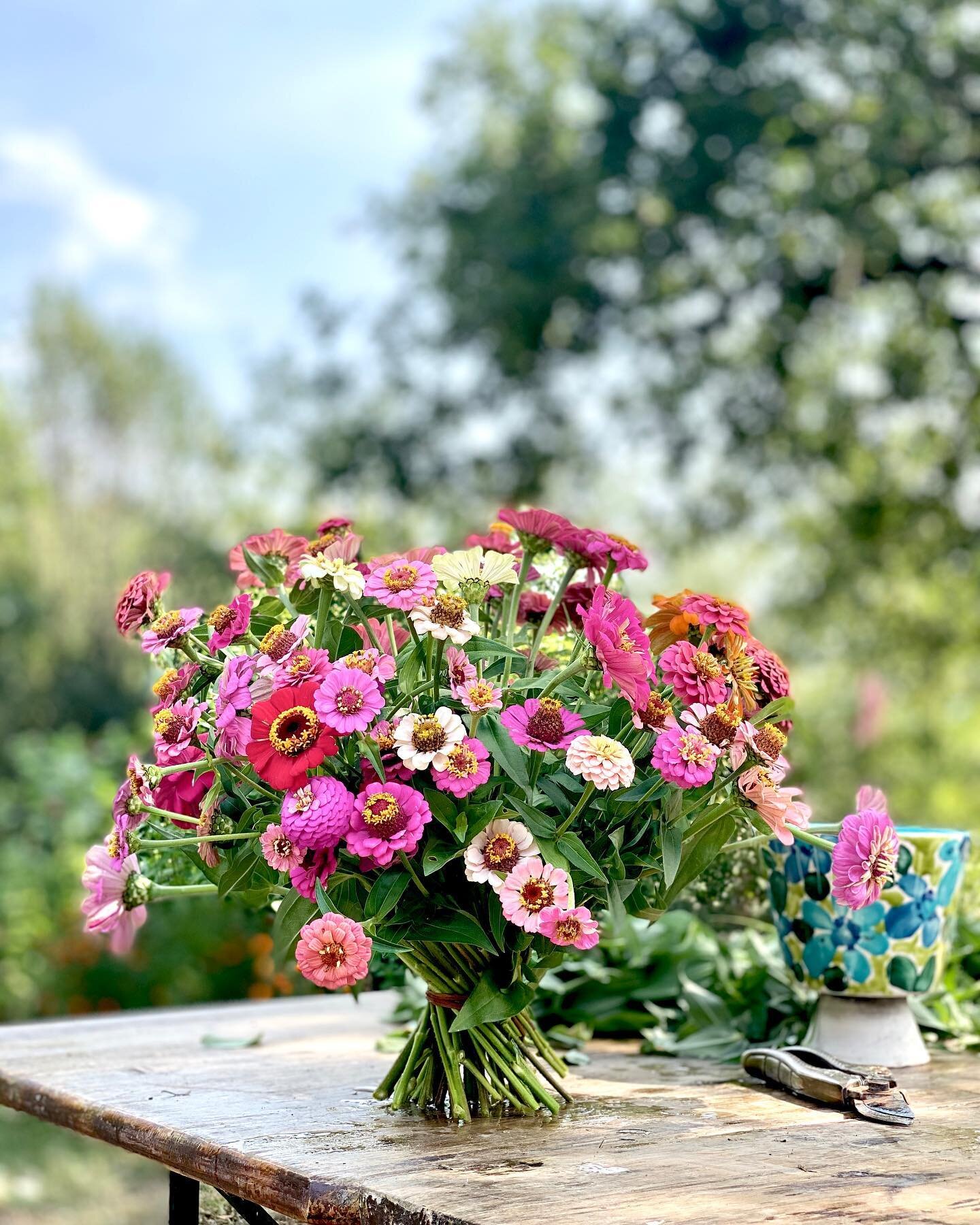 Tiny joys  for the soul from the garden. 🌱 The always valid technique of the spiral bouquet.  #slowliving #slowflowers #tuscany #florals #bouquet #shotoniphone