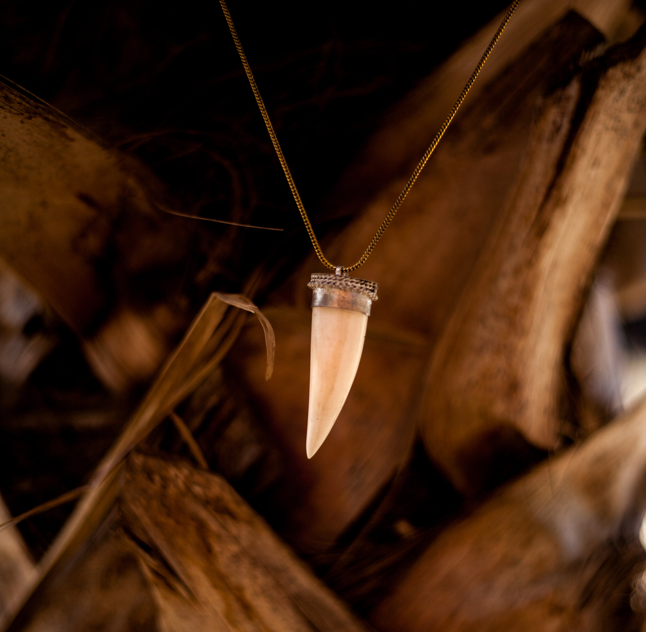 Tooth Imitation Necklace