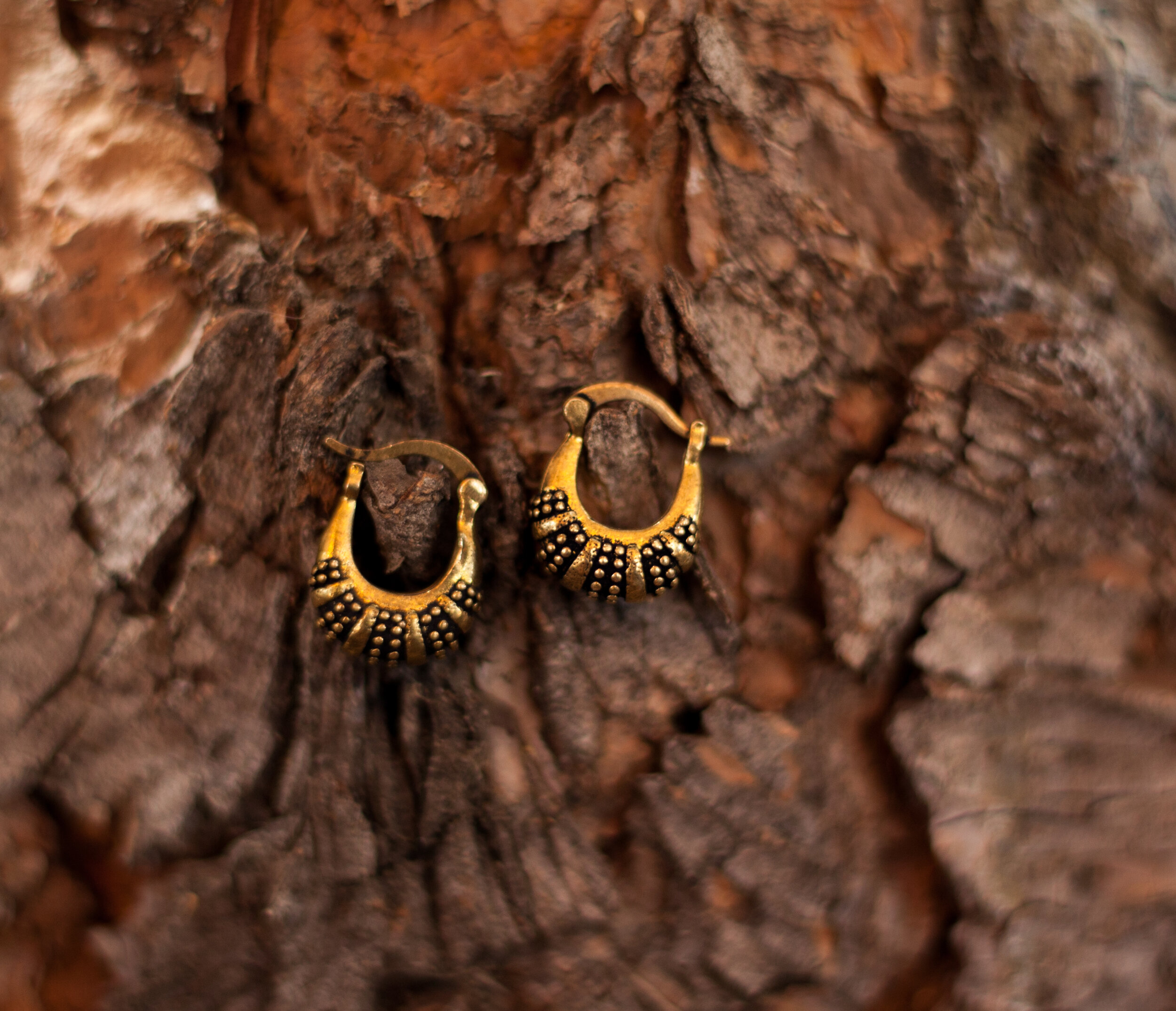 Golden Crescent Earrings