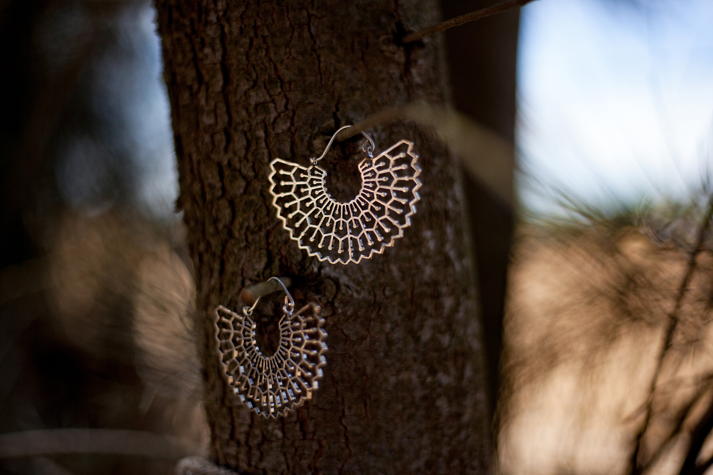 Half Crescent Earrings