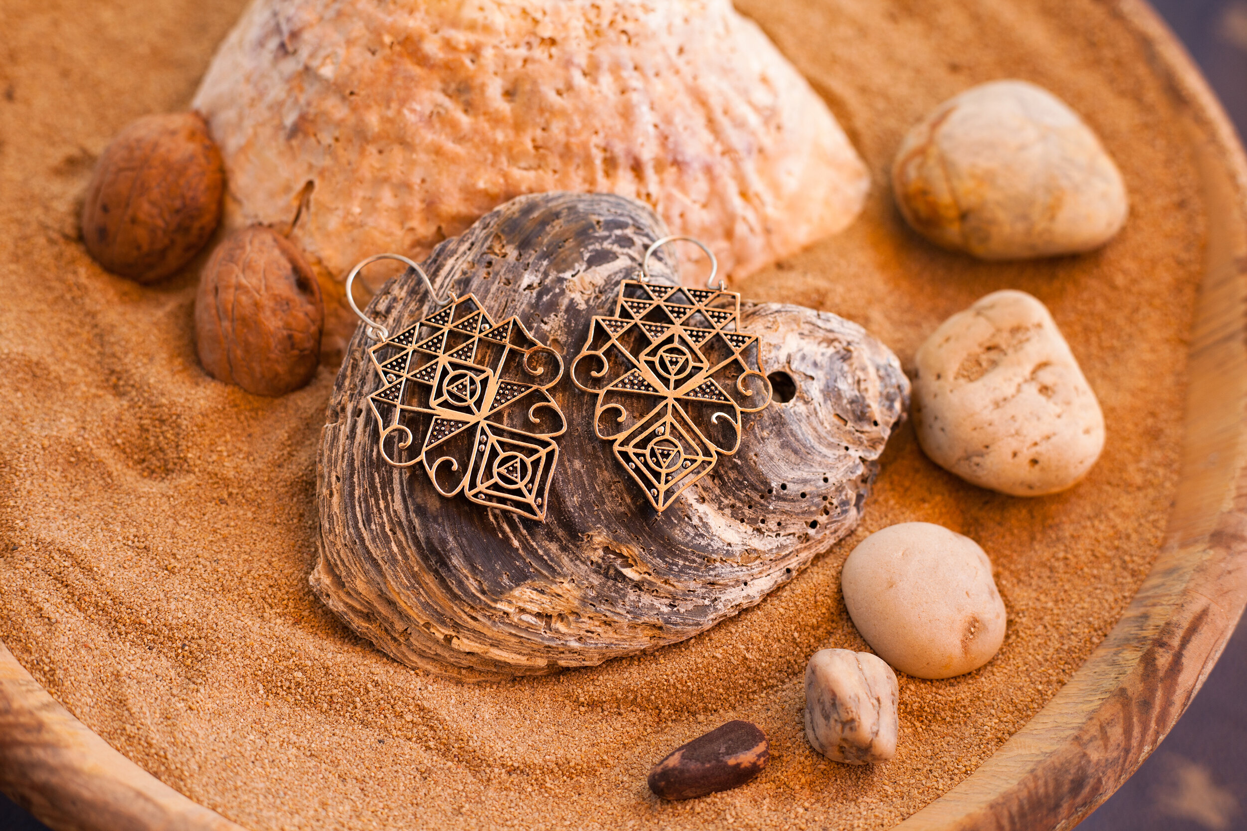 Sacred Code Earrings