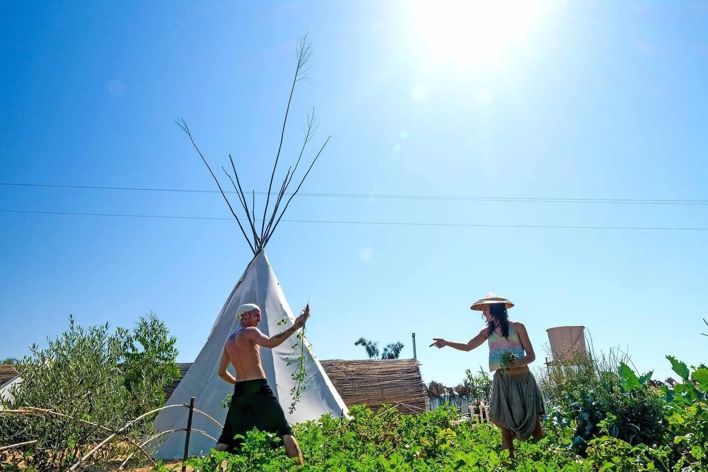 Image source - Summer Gathering Website