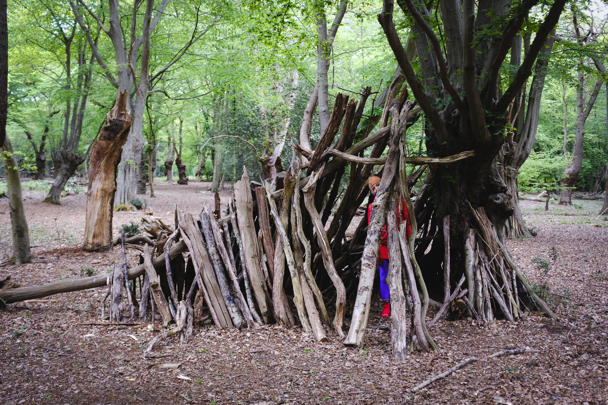 DSCF3536.jpg